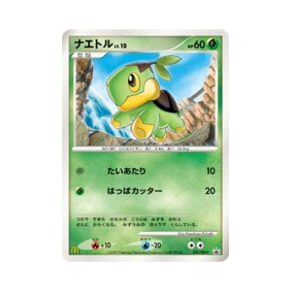 포켓몬 TCG 모부기 P 다이아몬드 & 펄 프로모카드 (일어판)(Pokemon TCG Turtwig P Diamond & Pearl Promos (Japanese Ver.)) - 1
