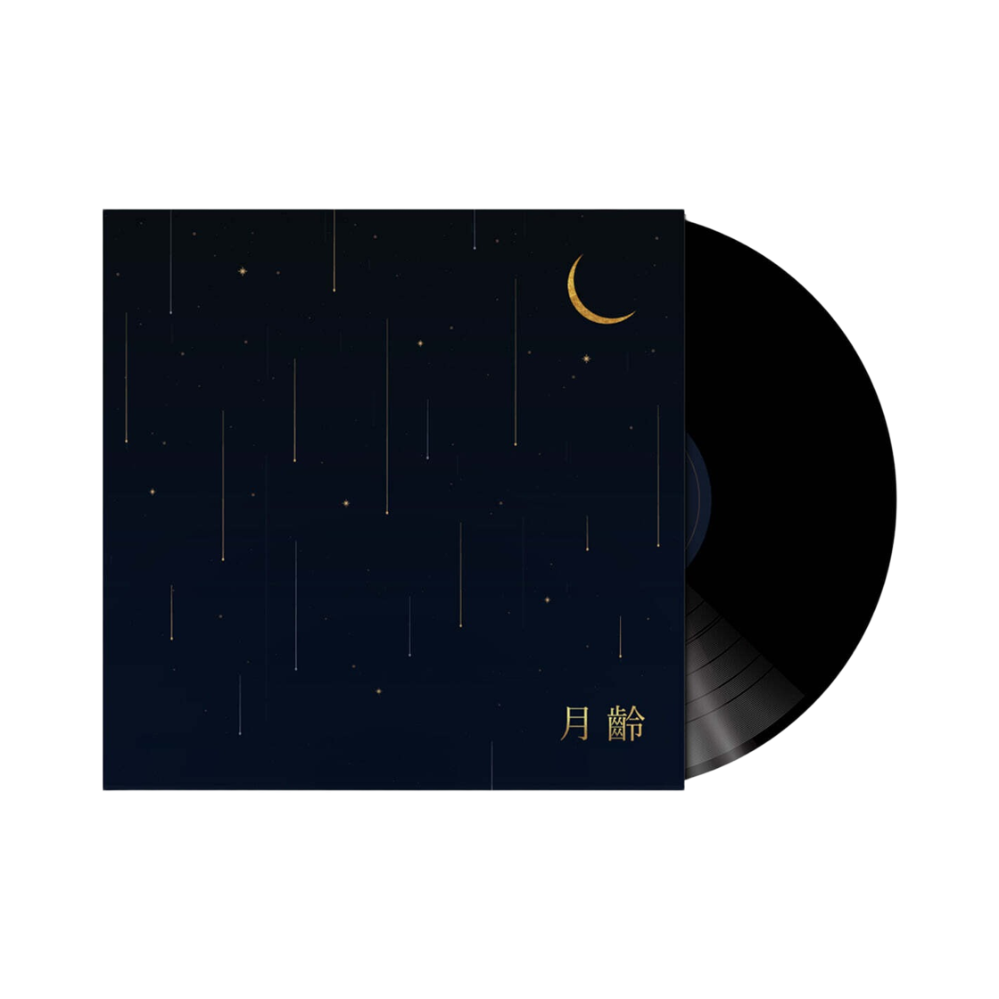 심규선 월령 데뷔 10주년 기념반 LP 블랙(Lucia Lunar Phase 10th Anniversary LP Black) - 1