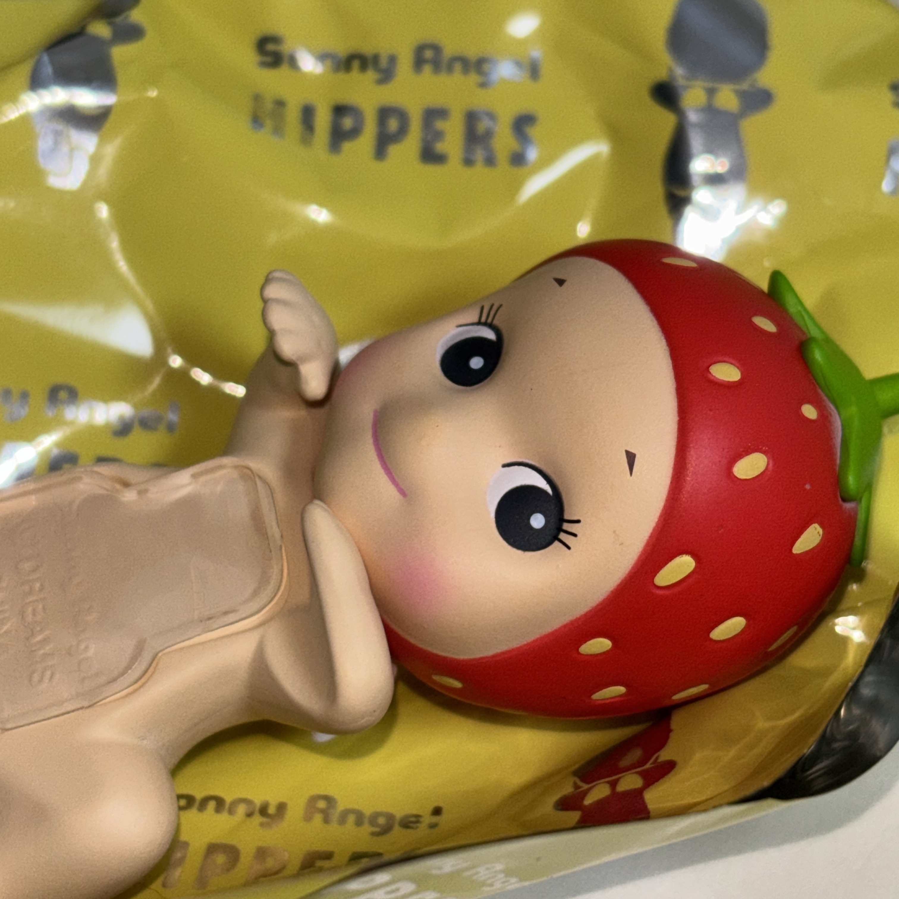 Sonny Angel Harvest Series Hippers Sealed Case (12 Blind Boxes) 착용 스타일 - 3