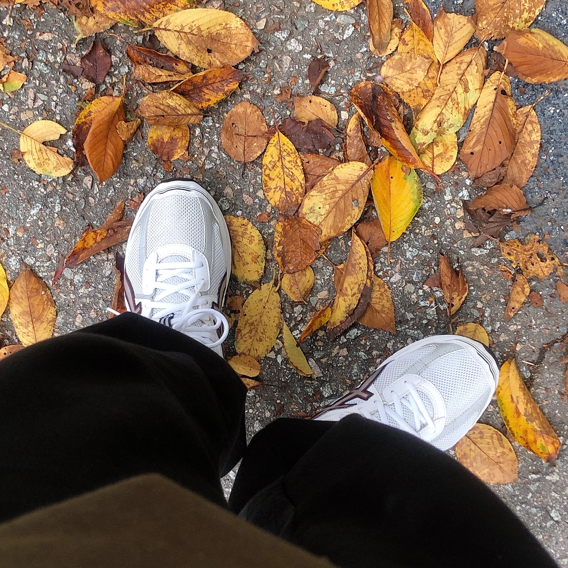Asics Jog 100 S White Pure Silver - 2E Wide 착용 스타일