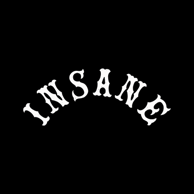 인세인 개러지(INSANE GARAGE)