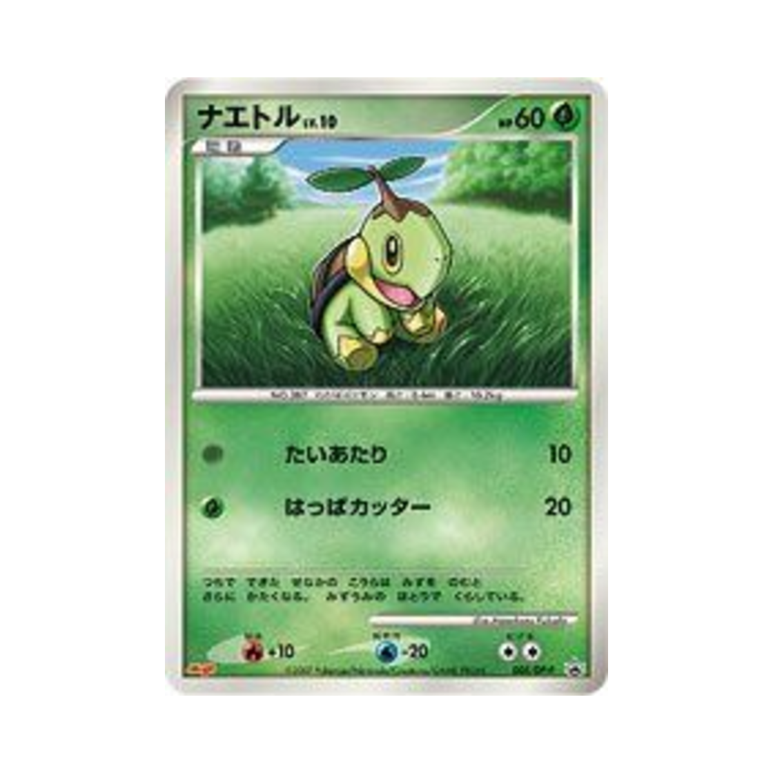 포켓몬 TCG 모부기 P 다이아몬드 & 펄 프로모카드 (일어판)(Pokemon TCG Turtwig P Diamond & Pearl Promos (Japanese Ver.)) - 1