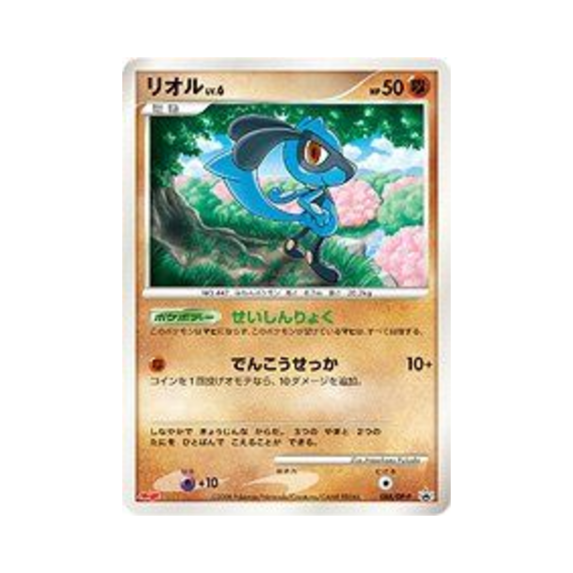 PROMO088-DP-P Pokemon TCG Riolu P Diamond & Pearl Promos (Japanese Ver.)