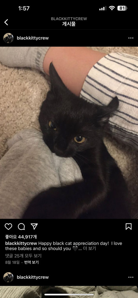 KREAM 프로필 이미지