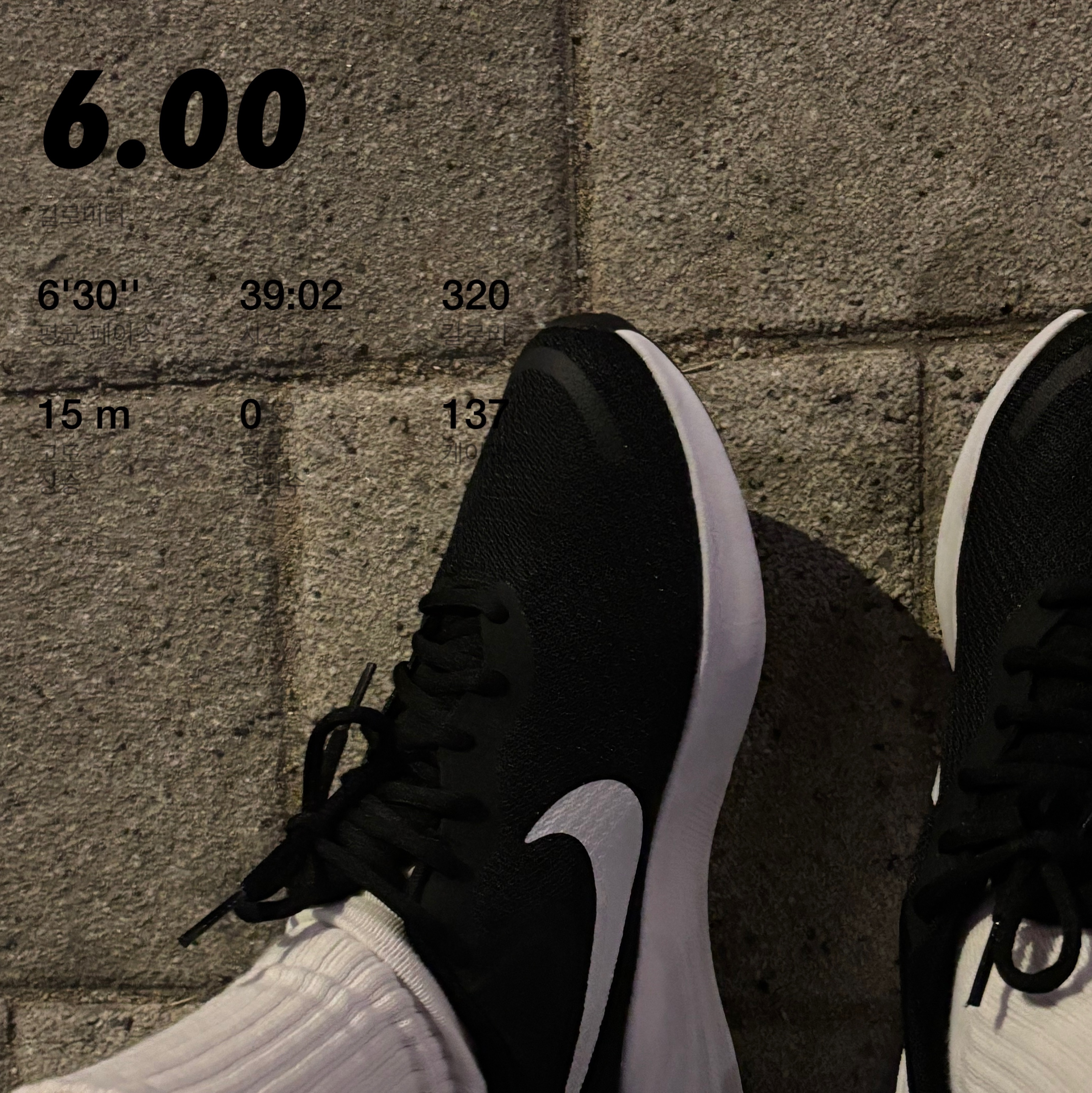 (W) Nike Revolution 7 Black 착용 스타일