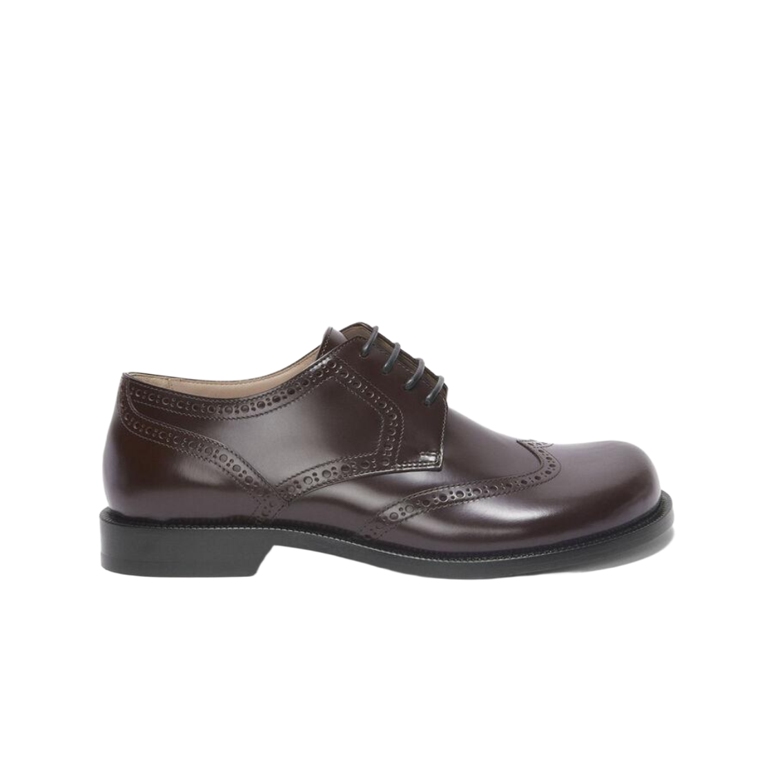 M816284X37-3110 Loewe Campo Brogue Derby In Brushed Calfskin Dark Brown