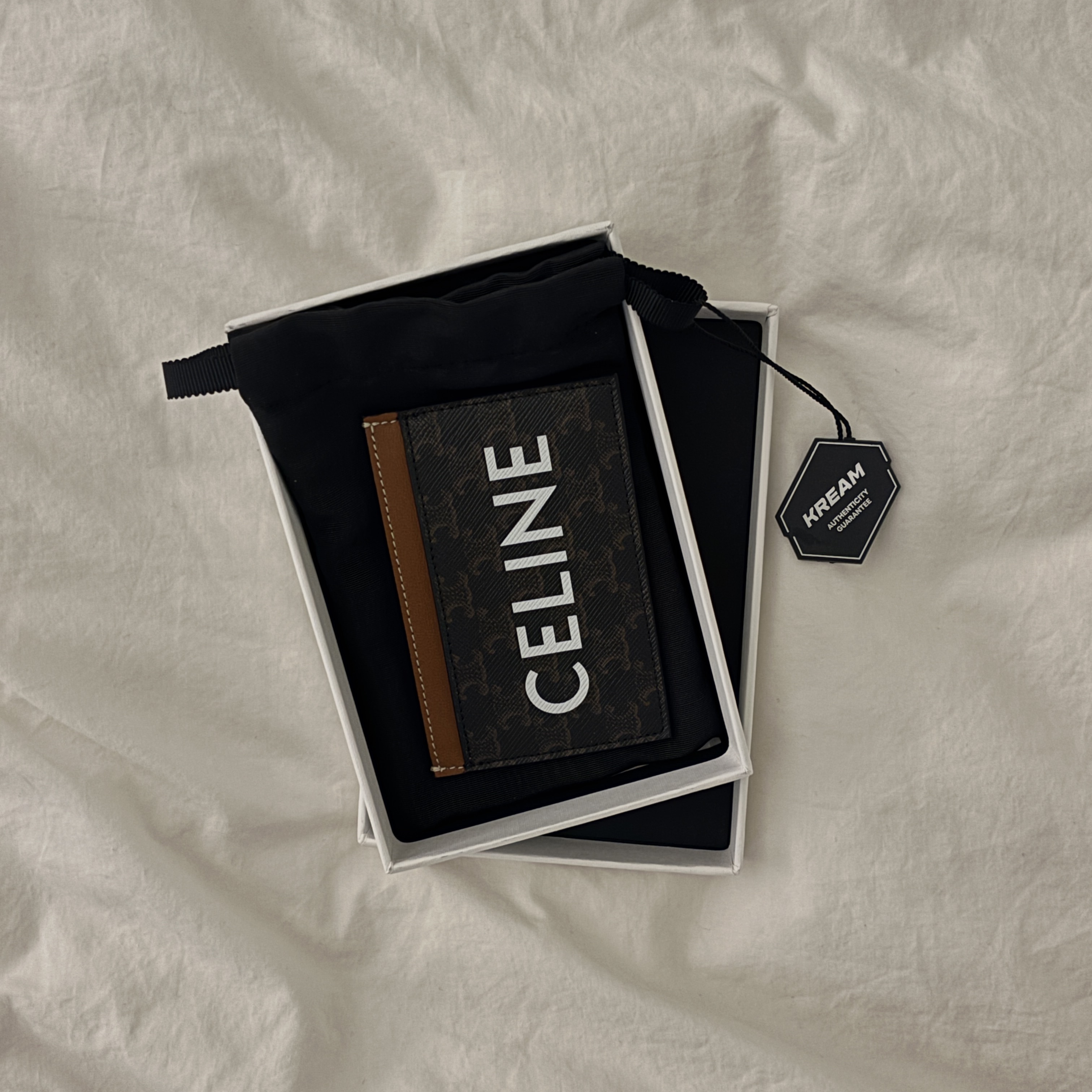 Celine Card Holder in Triomphe Canvas with Celine Print Tan 착용 스타일