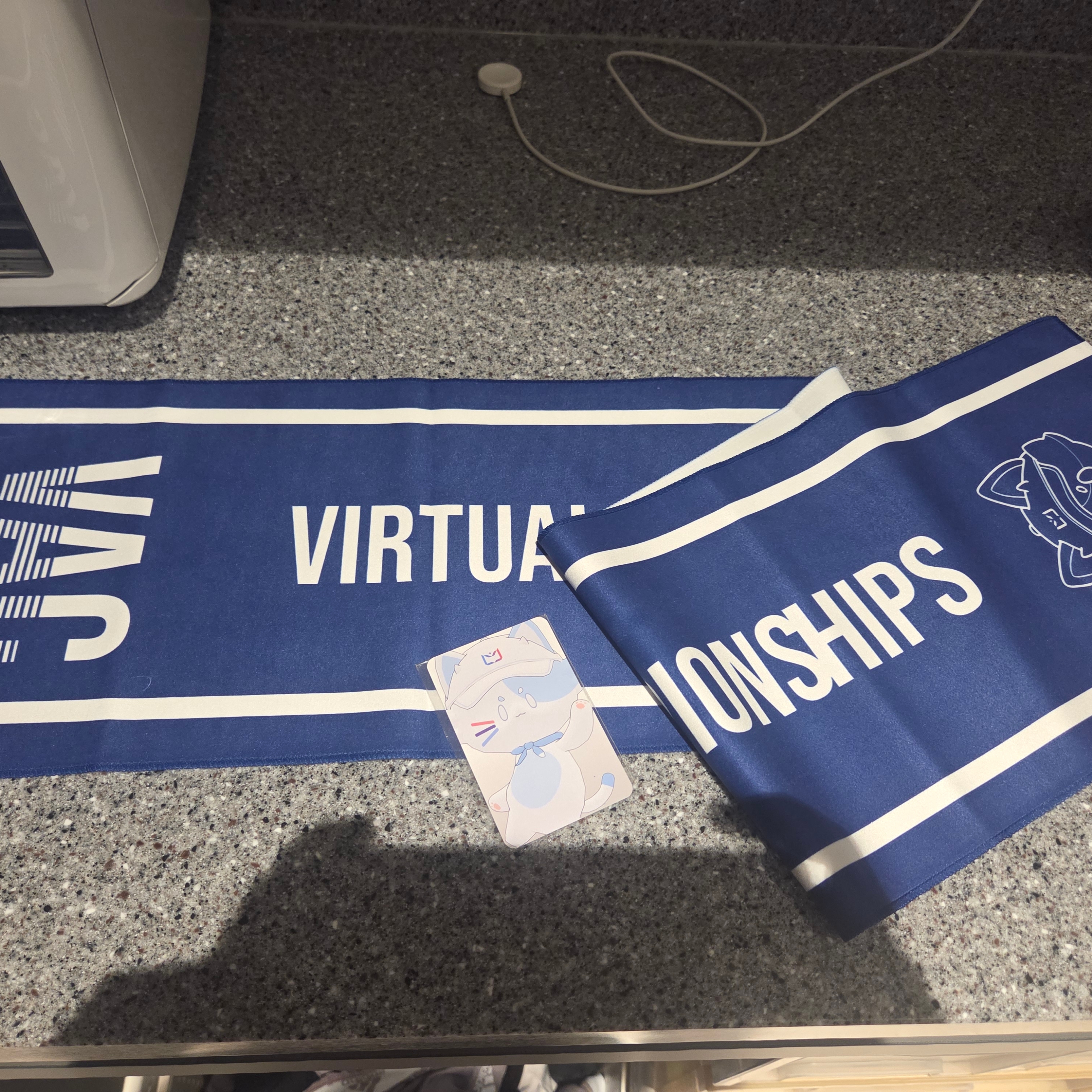 [VAC 2025] Fan towel & Photocard SET 착용 스타일