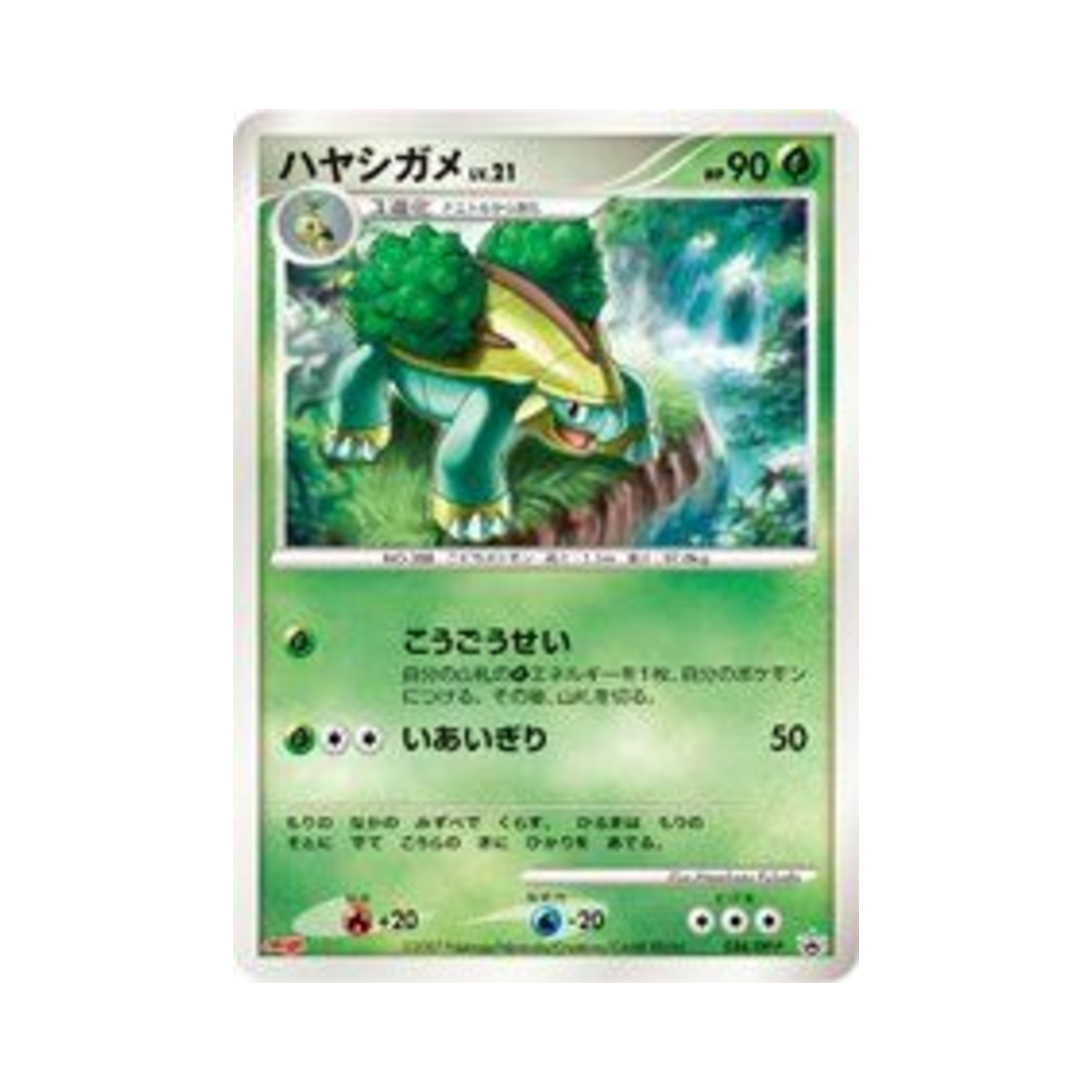 포켓몬 TCG 수풀부기 P 다이아몬드 & 펄 프로모카드 (일어판)(Pokemon TCG Grotle P Diamond & Pearl Promos (Japanese Ver.)) - 1