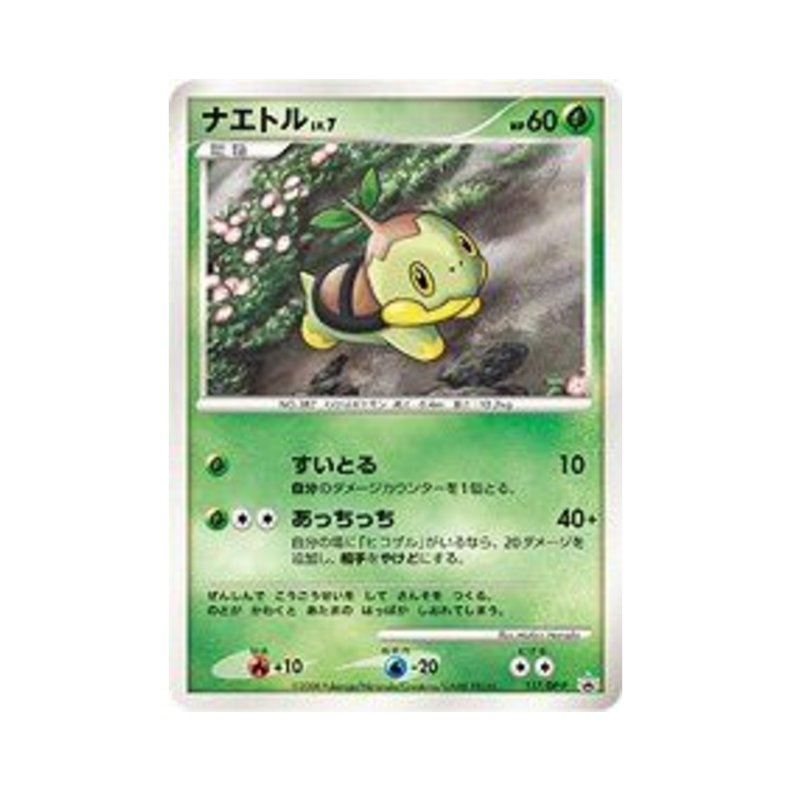 포켓몬 TCG 모부기 P 다이아몬드 & 펄 프로모카드 (일어판)(Pokemon TCG Turtwig P Diamond & Pearl Promos (Japanese Ver.)) - 1