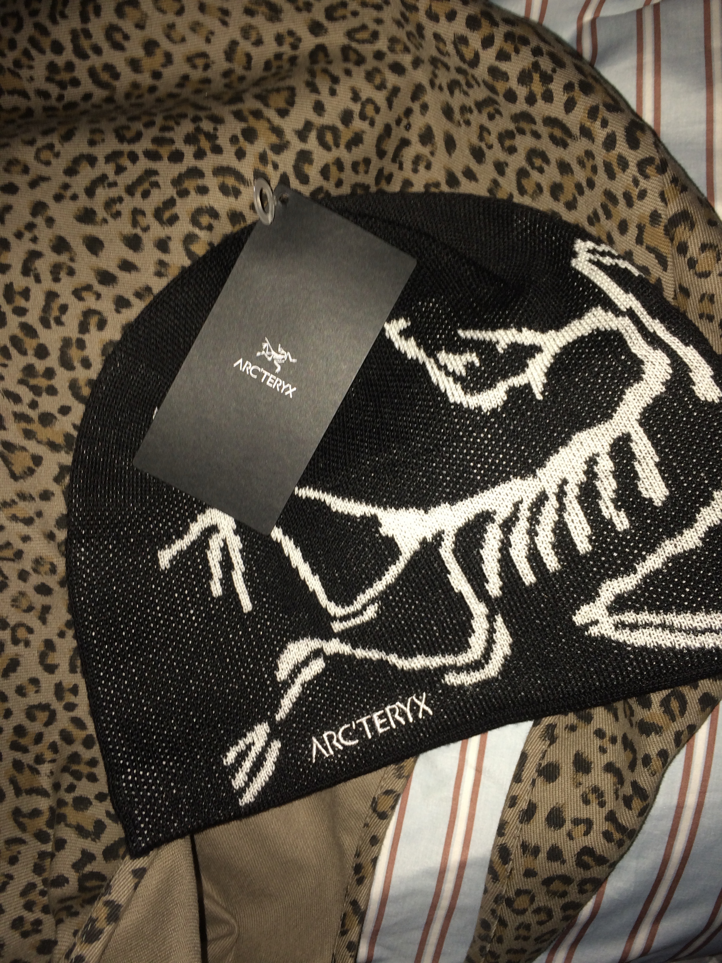 Arc'teryx Bird Head Toque Orca 착용 스타일 - 2