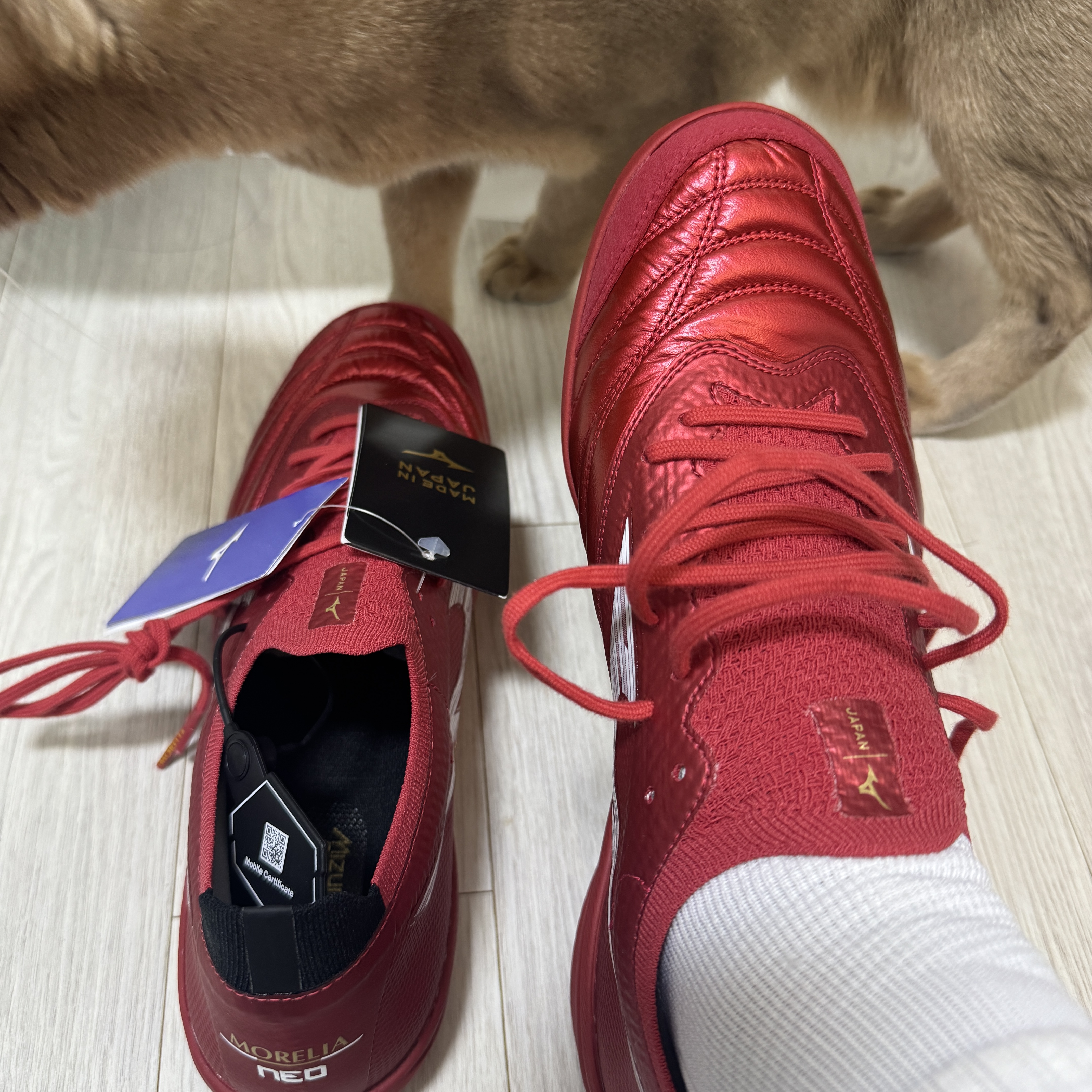 Mizuno Morelia Neo Sala B Japan TF 40th Anniversary Red White 착용 스타일 - 1