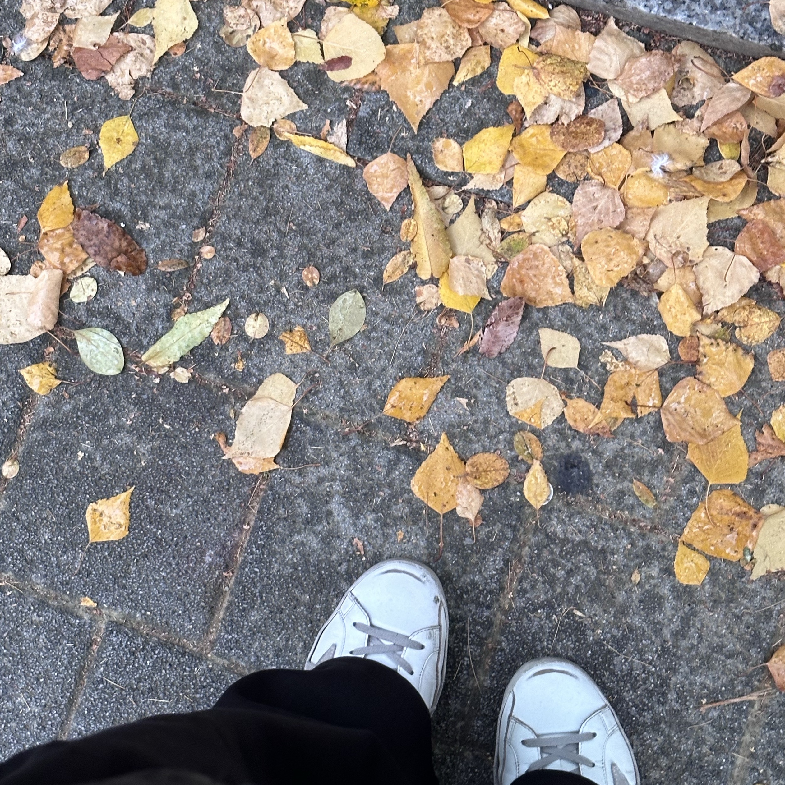 (W) Golden Goose Superstar White Silver Heel Tab Sneakers 착용 스타일