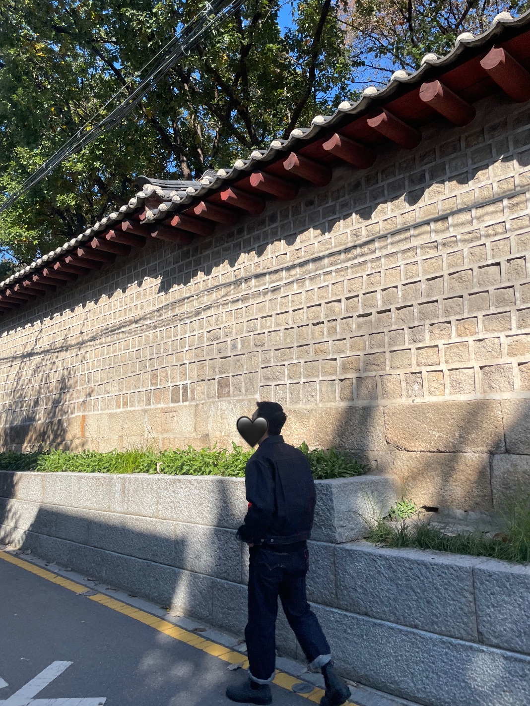 Levi's LVC 1953 TYPE II Jacket Rigid Indigo, LVC 1955 501 Rigid Cotton Jean Dark Indigo 착용 스타일