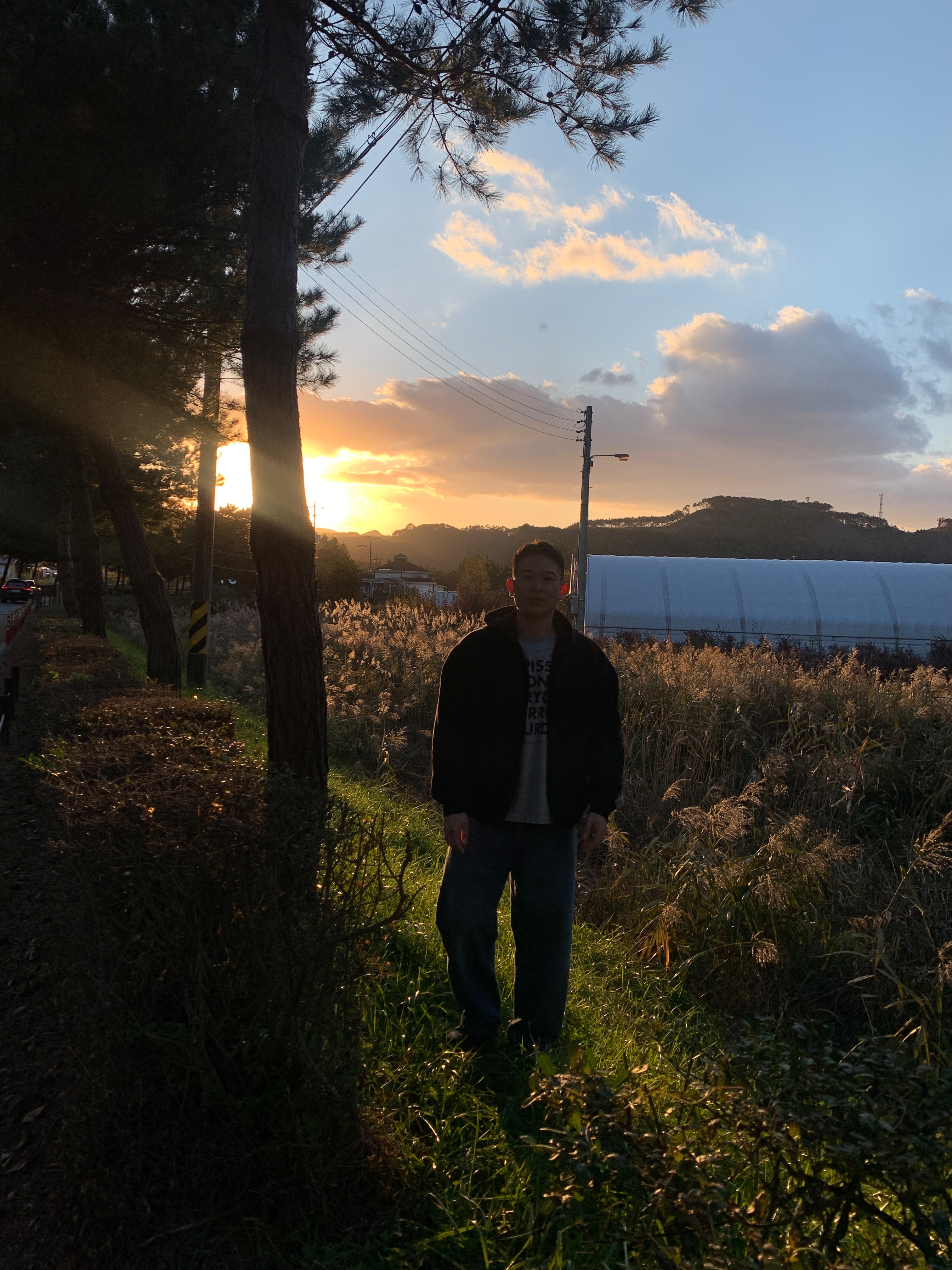 Dr. Martens 1461 Crazy Horse Dark Brown, Carhartt WIP Brandon Pants Blue Worn Washed 착용 스타일 - 2