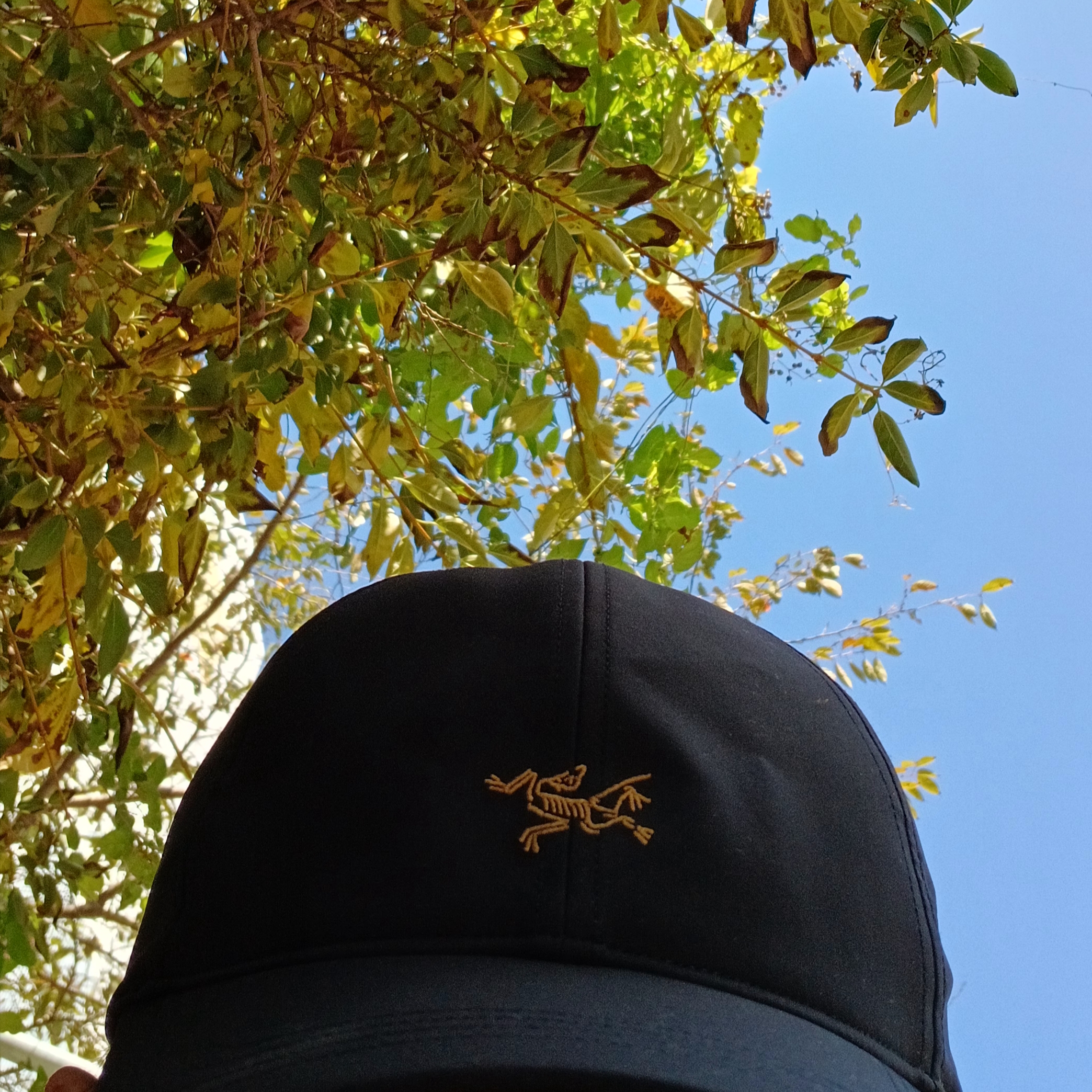 Arc'teryx Small Bird Cap Black, Arc'teryx Kragg Cotton LS T-Shirt 24K Black 착용 스타일 - 3