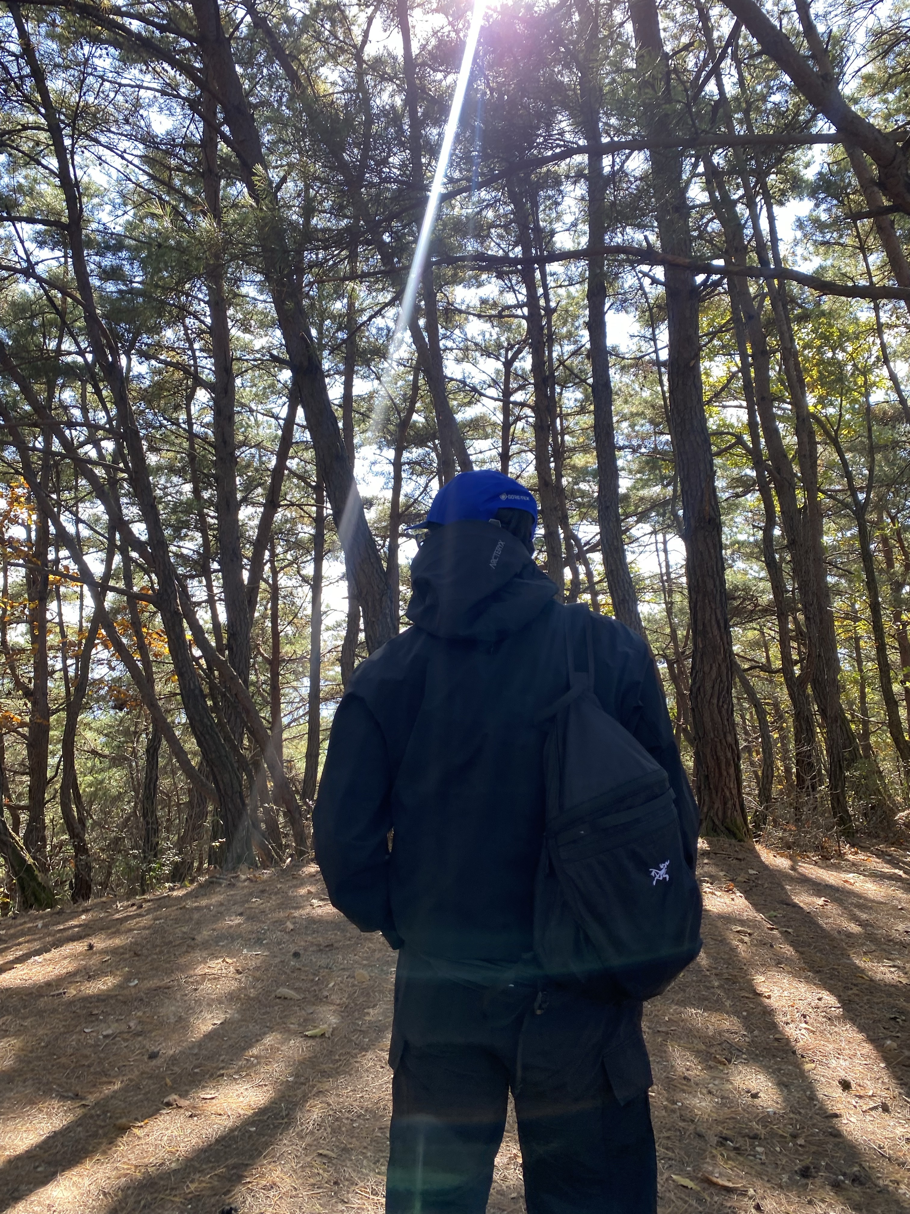 Arc'teryx Gore 5 Panel Cap Vitality, Arc'teryx Gamma Hoody Black 착용 스타일 - 2