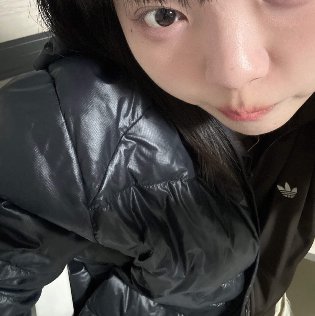 New Balance Flying 77 Superlight Hooded Goose Down Jacket Black 착용 스타일