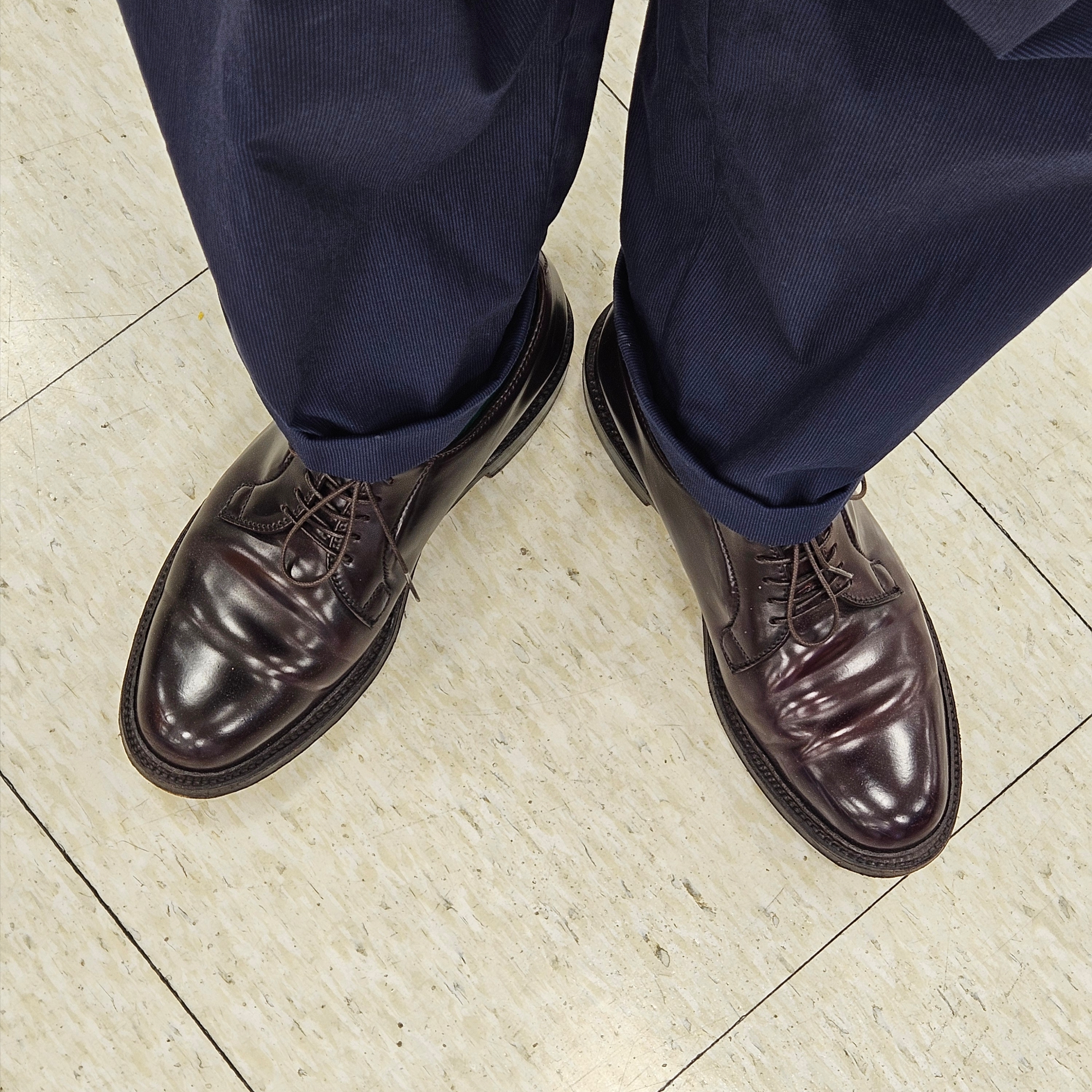 Alden 990 Cordovan Plain Toe Blucher Oxford Burgundy - D, Omega Seamaster Planet Ocean 600M Co Axial Master Chronometer Steel Black 착용 스타일 - 4