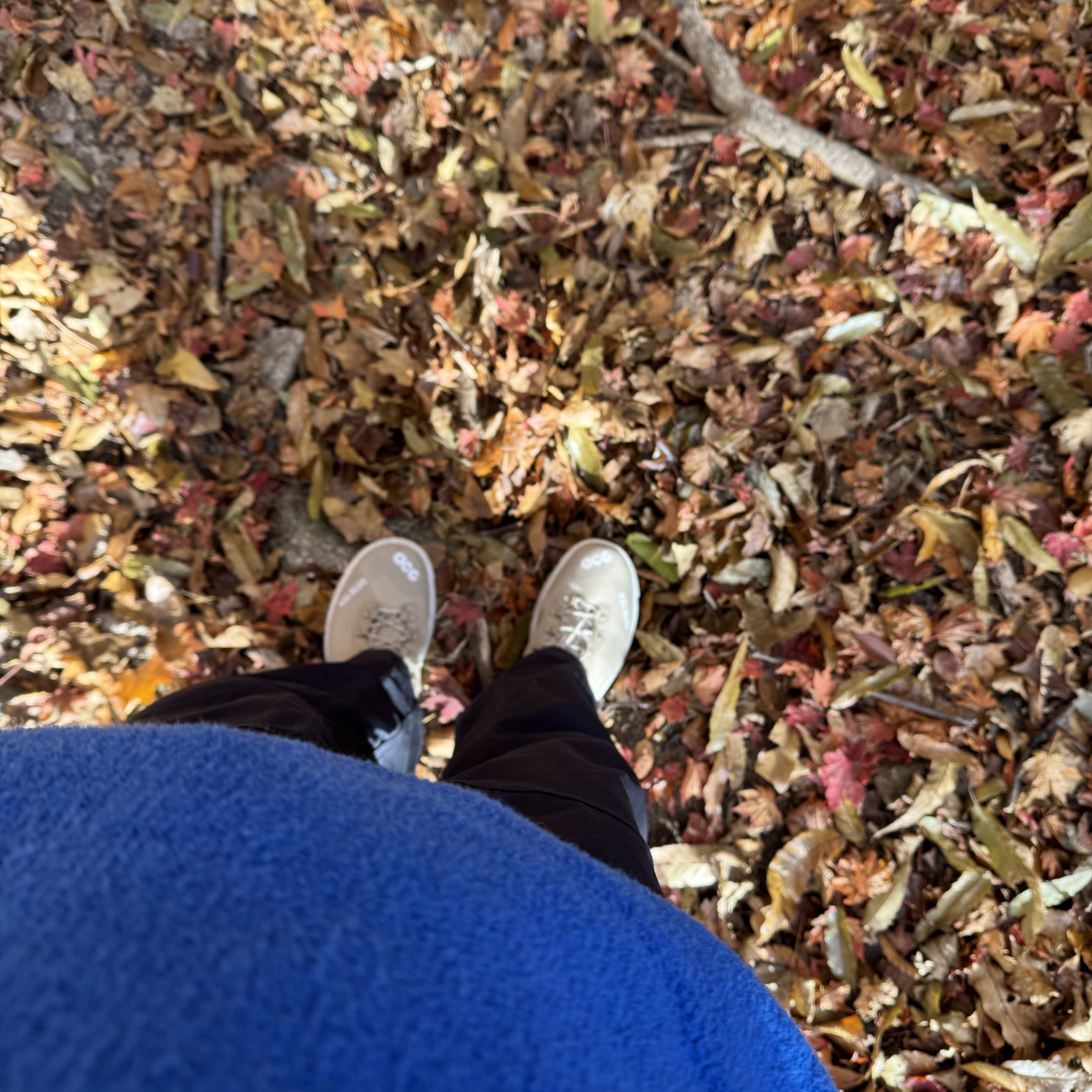 Patagonia Synchilla Snap-T Fleece Pullover Passage Blue 착용 스타일