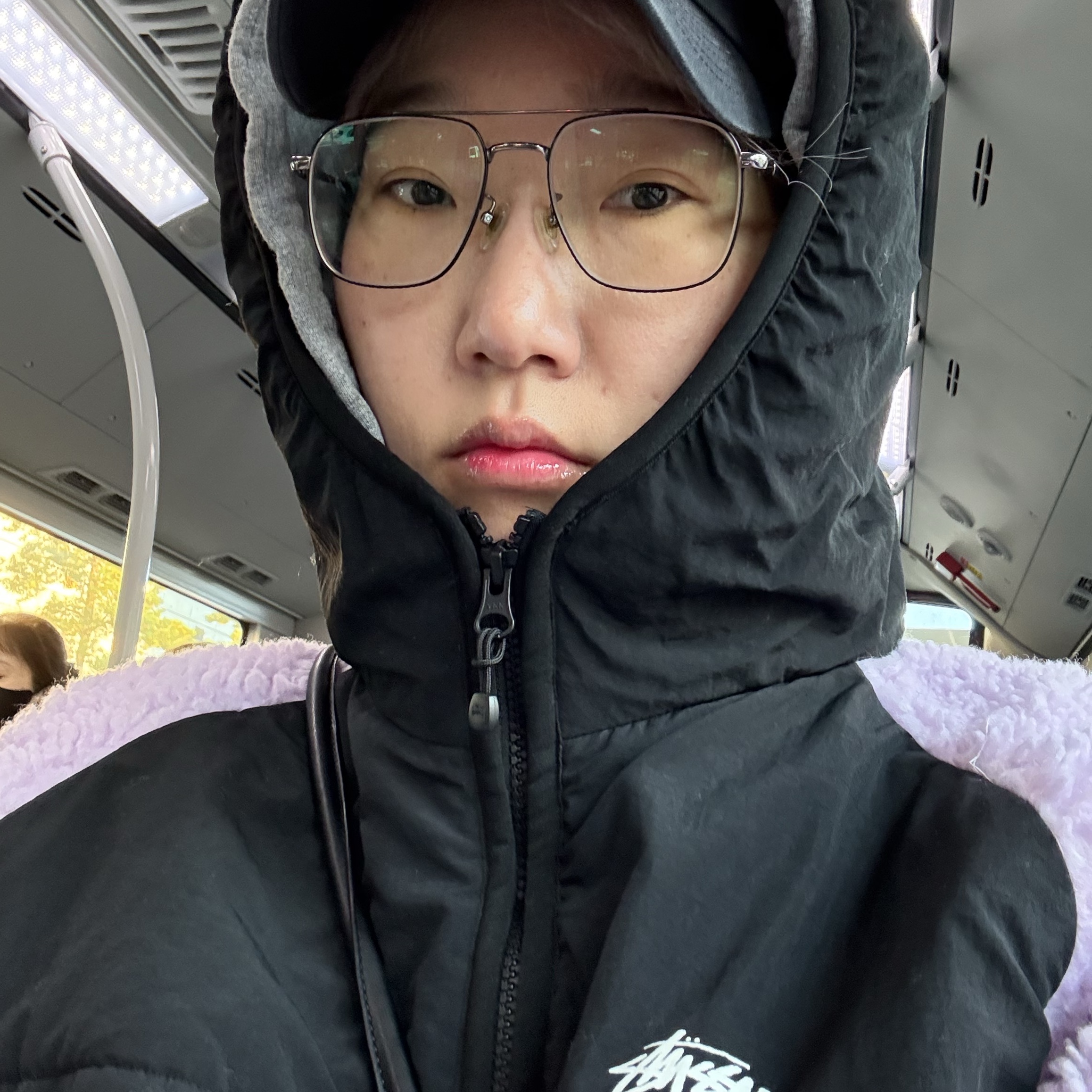Stussy Sherpa Paneled Hooded Jacket Lavender 착용 스타일 - 2