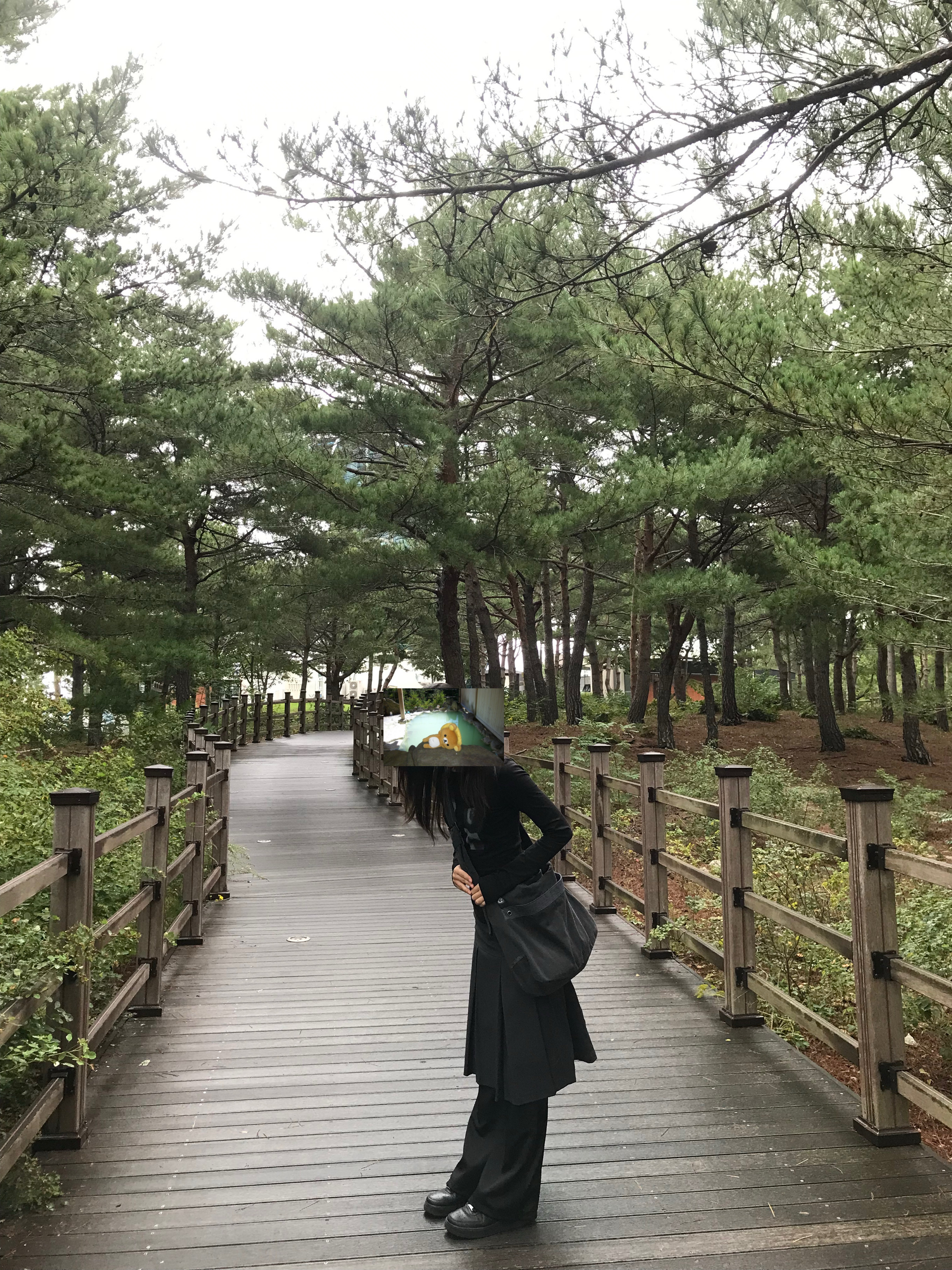 먼지님의 스타일