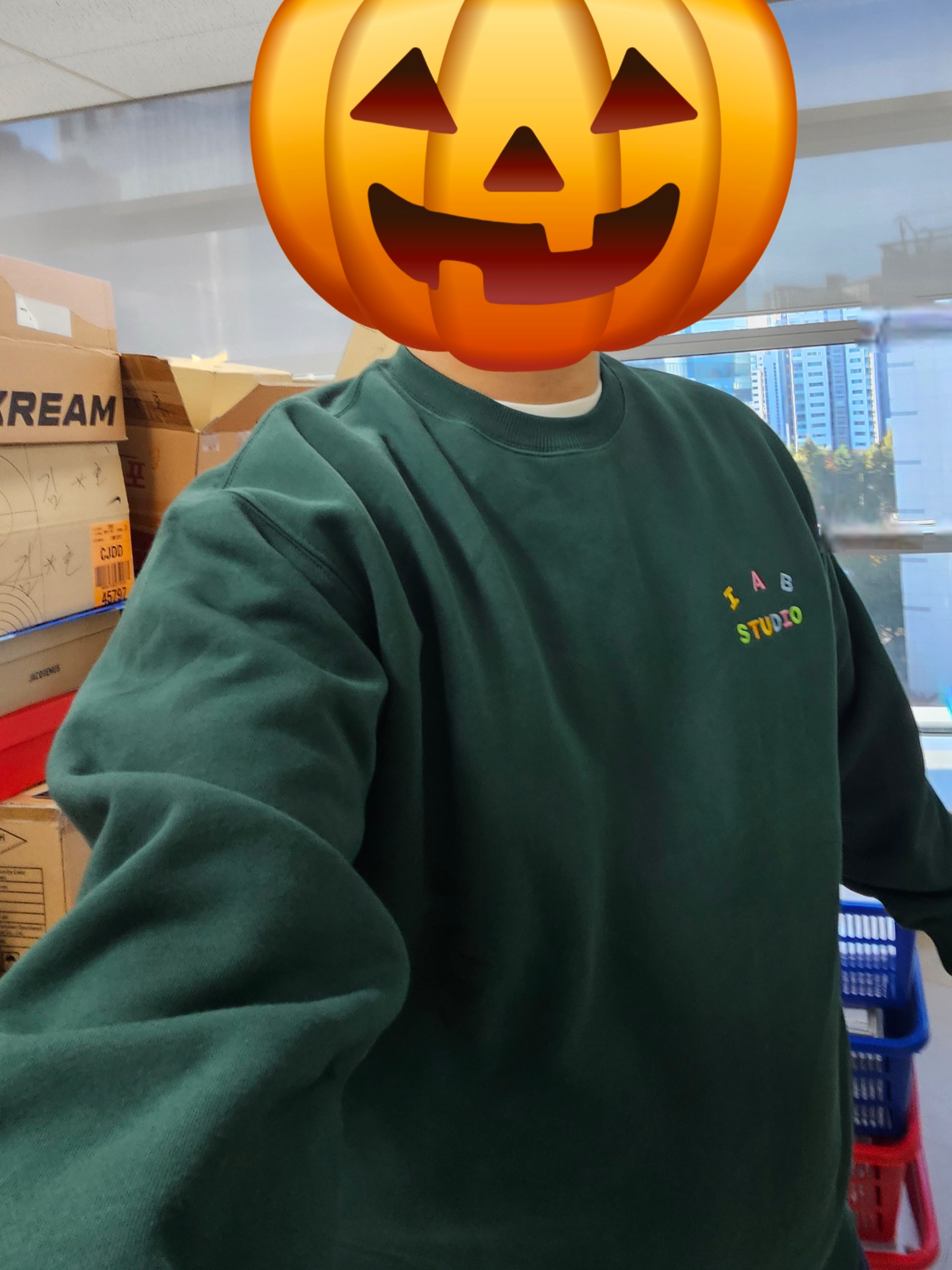 IAB Studio IAB Embroid Sweatshirt Green 착용 스타일