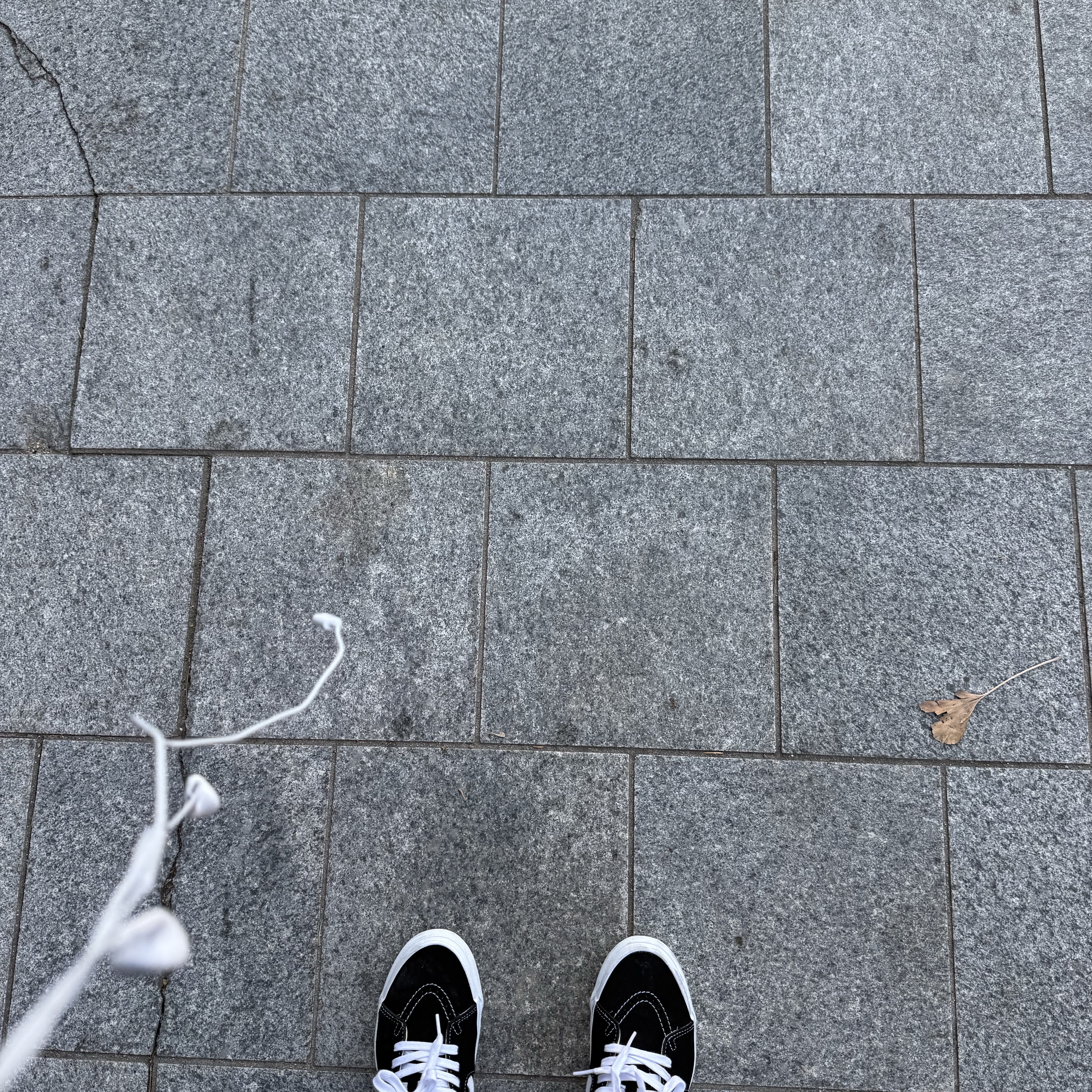 Vans Premium Sk8-Mid 83 Black 착용 스타일 - 3