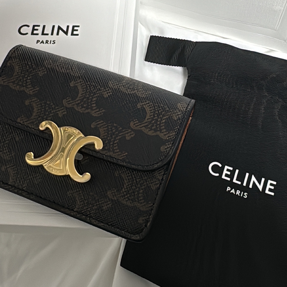 Celine Card Holder with Flap in Triomphe Canvas Tan 착용 스타일