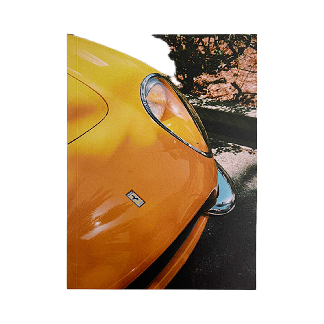 ODE-HO-112-BG Berlin Photobook Distribution Giallo Palms Note