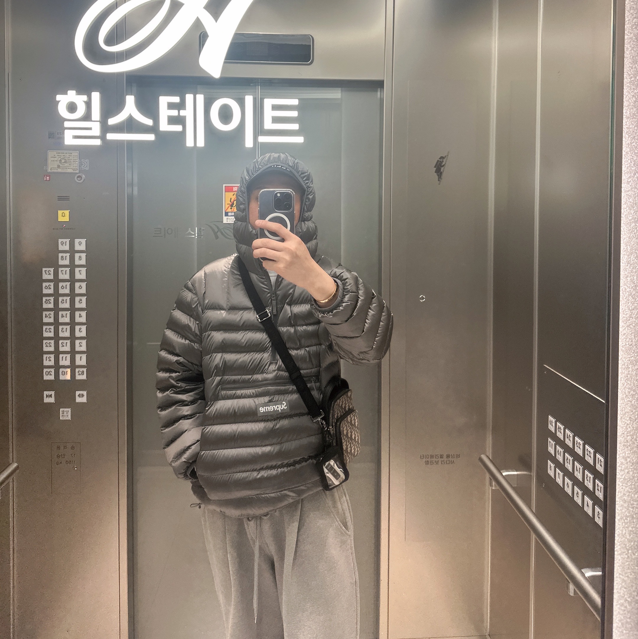 Supreme Micro Down Half Zip Hooded Pullover Silver - 25FW 착용 스타일 - 1