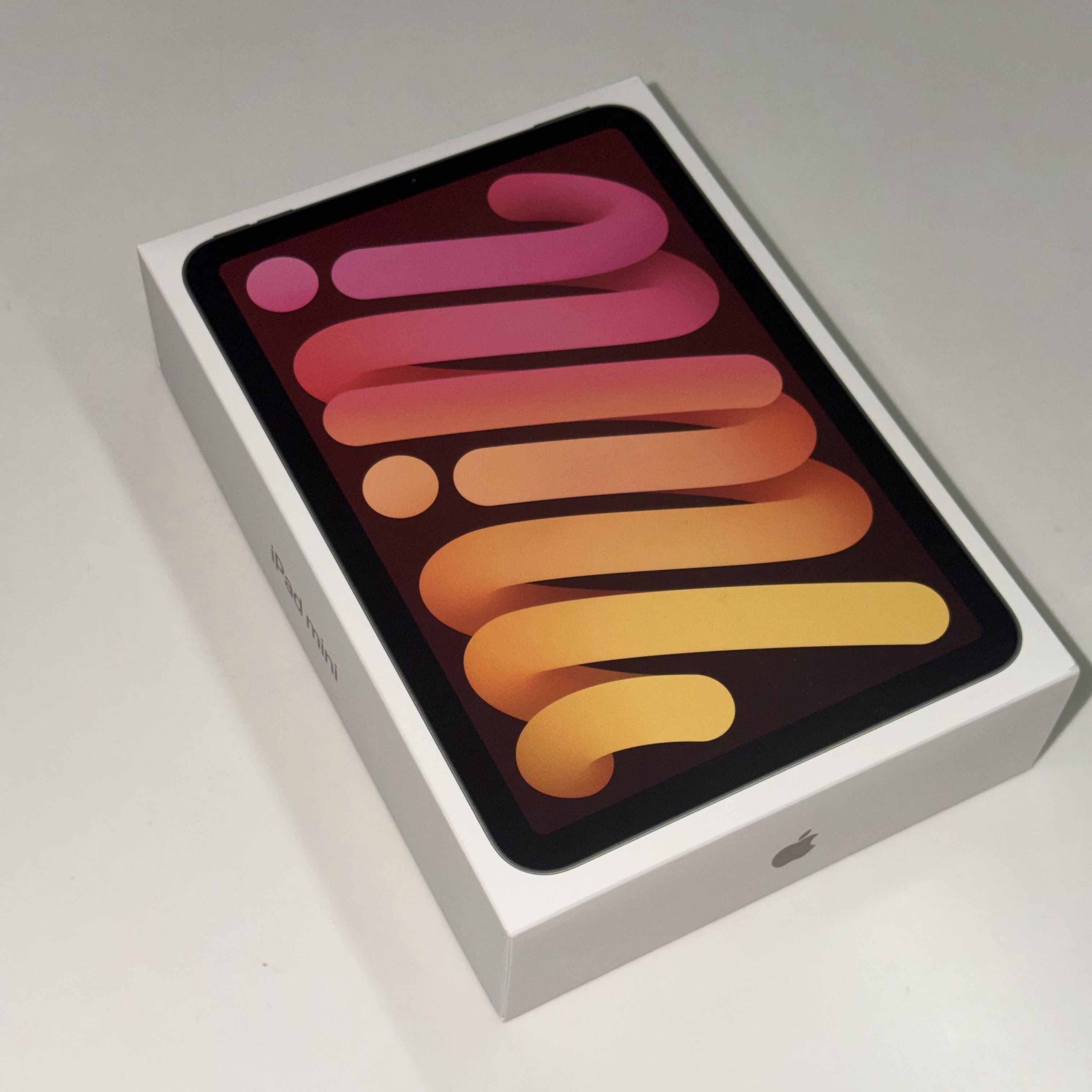 Apple iPhone 17 Pro 512GB Silver, Apple iPad Mini 7th Gen Wifi 256GB Starlight (Korean Ver.) 착용 스타일 - 4