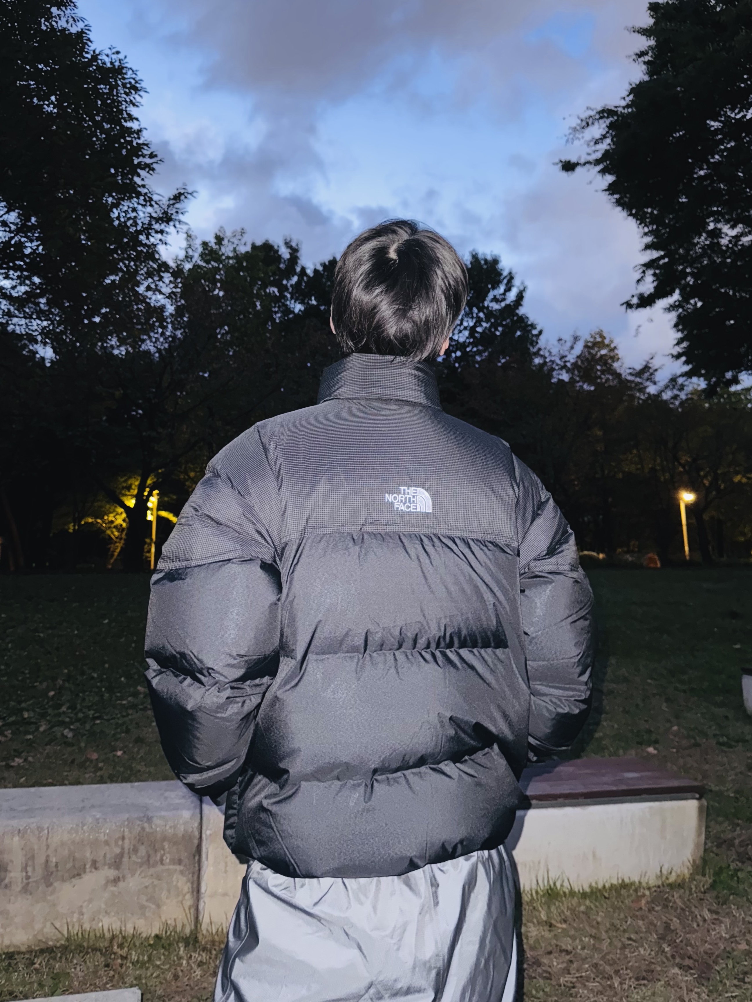 The North Face Remaster Down Jacket Black - 25FW, The North Face Remaster Down Jacket Brown 착용 스타일 - 7