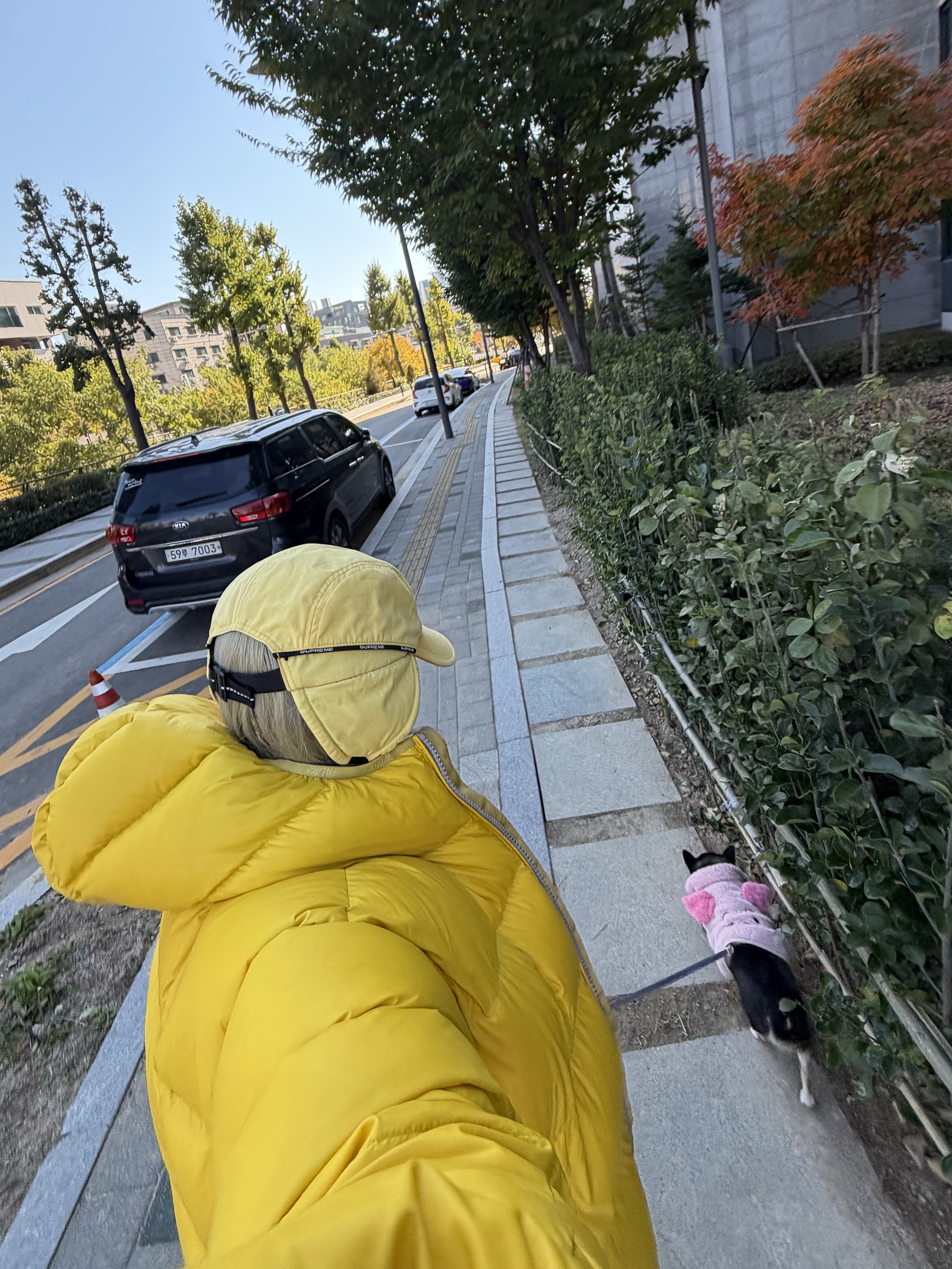 Palace Pertex Opaque Balaclava Puffa Yellow - 24FW 착용 스타일