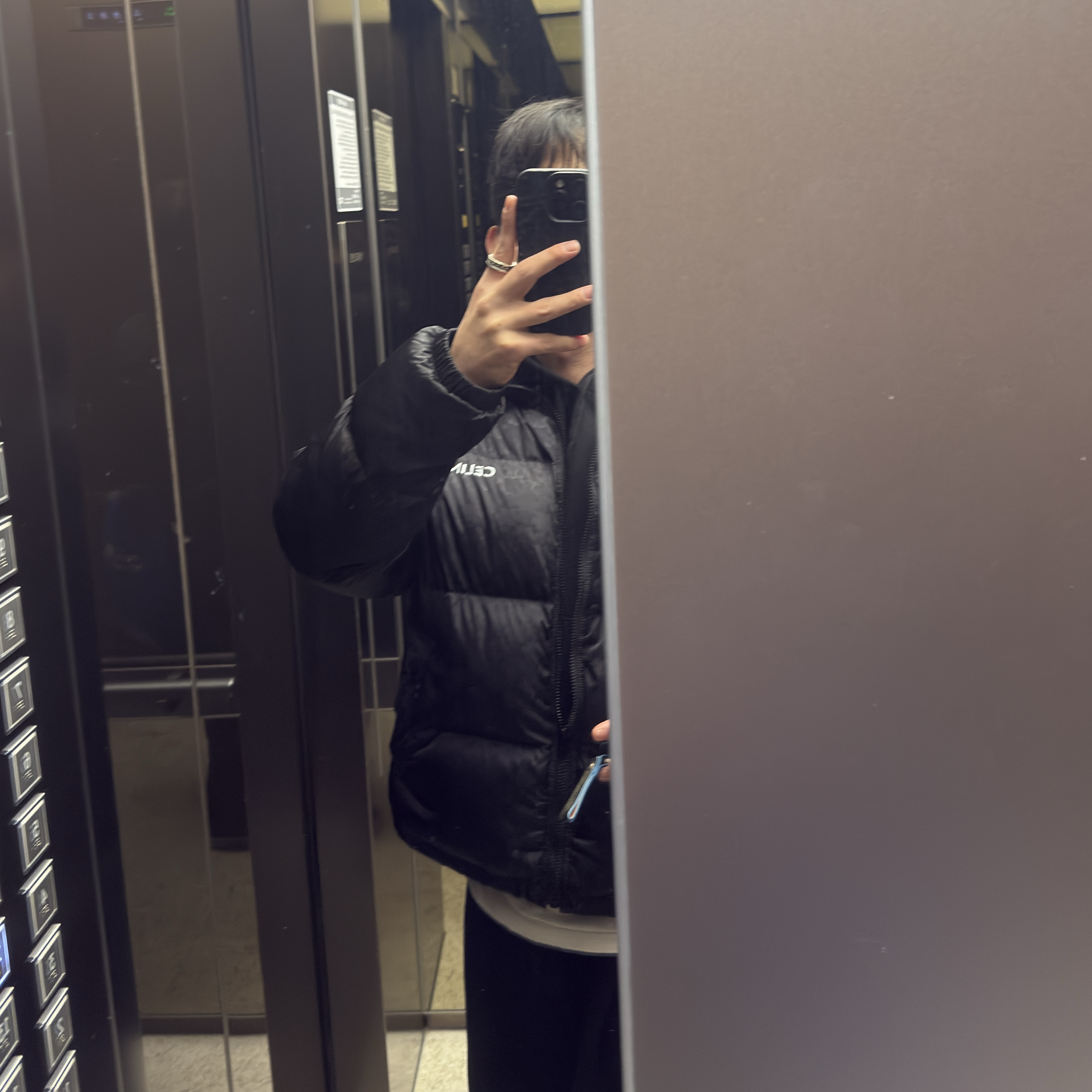 Celine Triomphe Nylon Jacquard Down Jacket Black, Nike x Supreme SB Darwin Low Black 착용 스타일