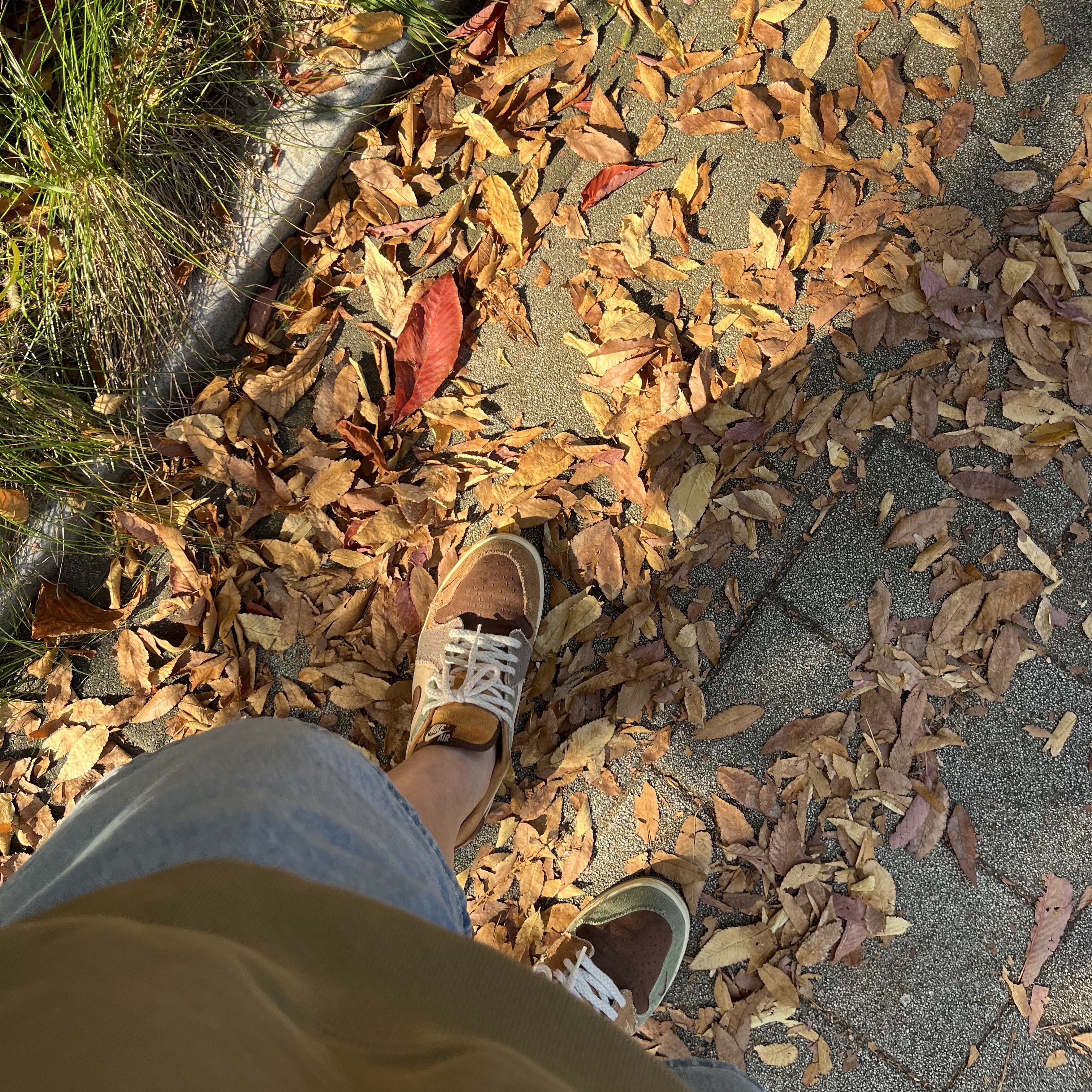 Jordan 1 x Zion Williamson Retro Low OG Flax and Oil Green 착용 스타일