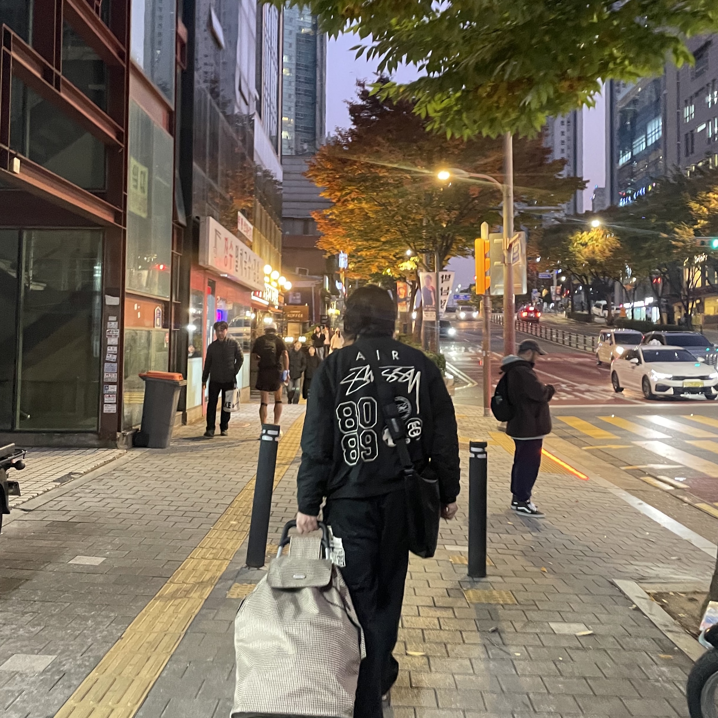 Nike x Stussy Reversible Jacket Black (FJ9153-010), IAB Studio x Obey Poster Carpenter Pants Anthracite 착용 스타일