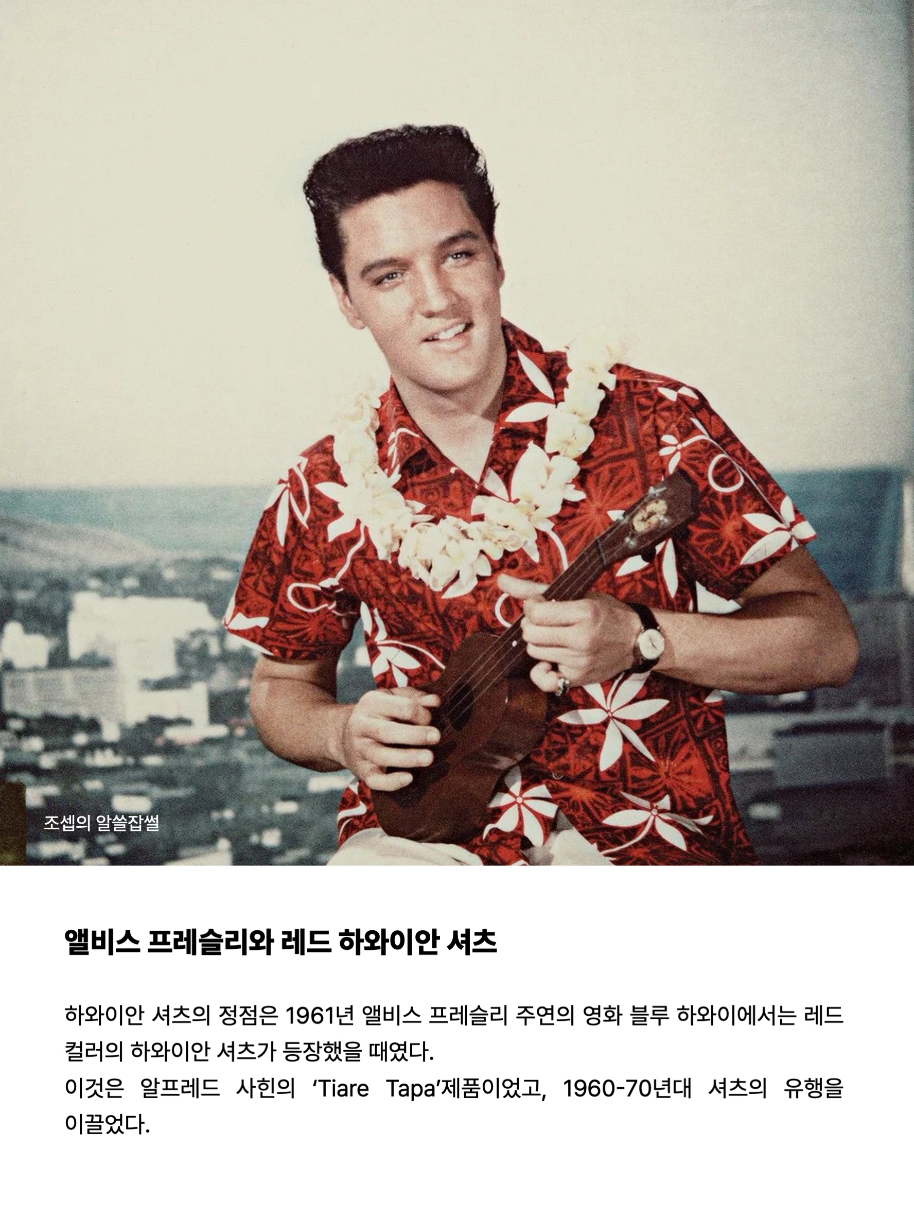 김조셉님의 스타일 - 7
