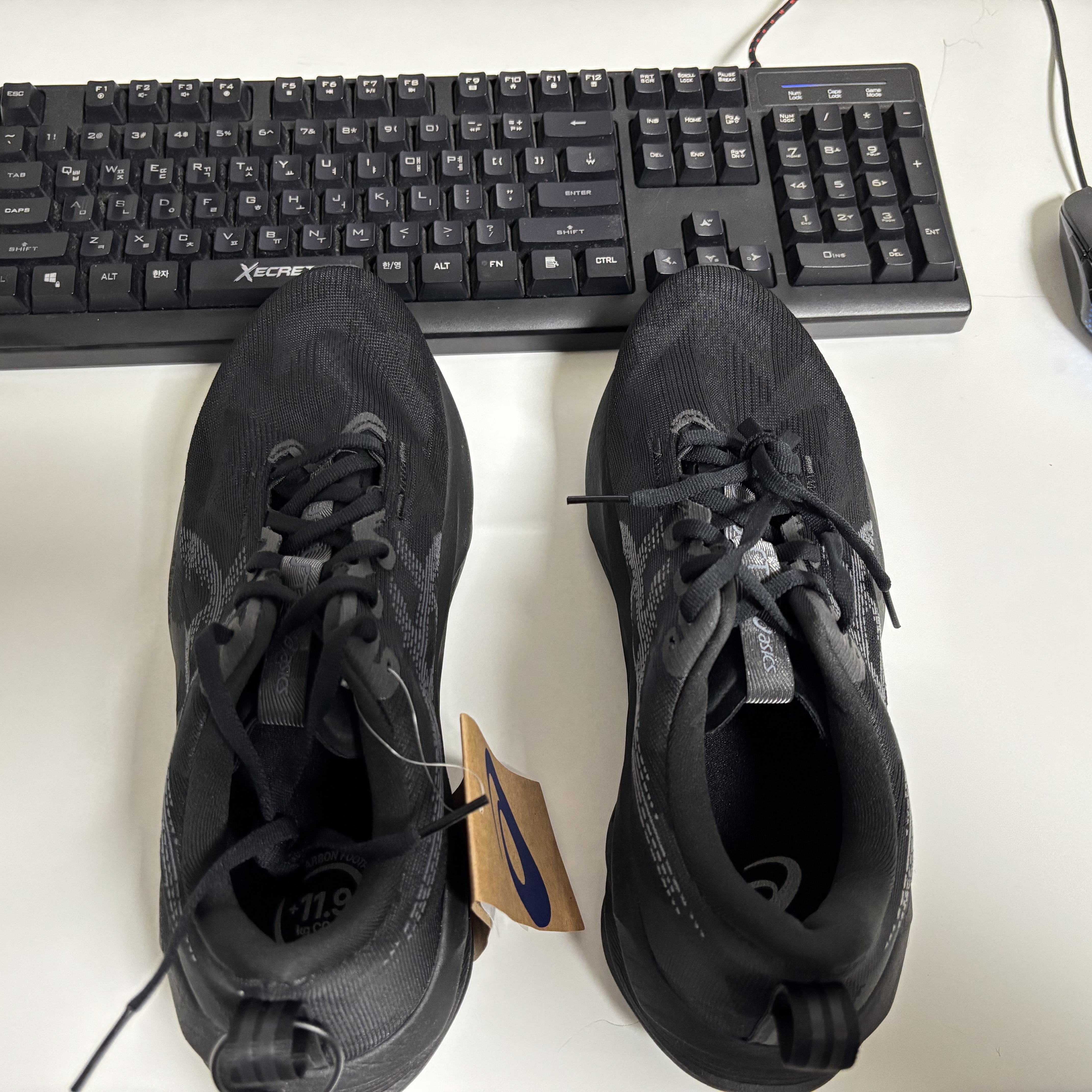 Asics Novablast 5 Black Carrier Grey 착용 스타일 - 6