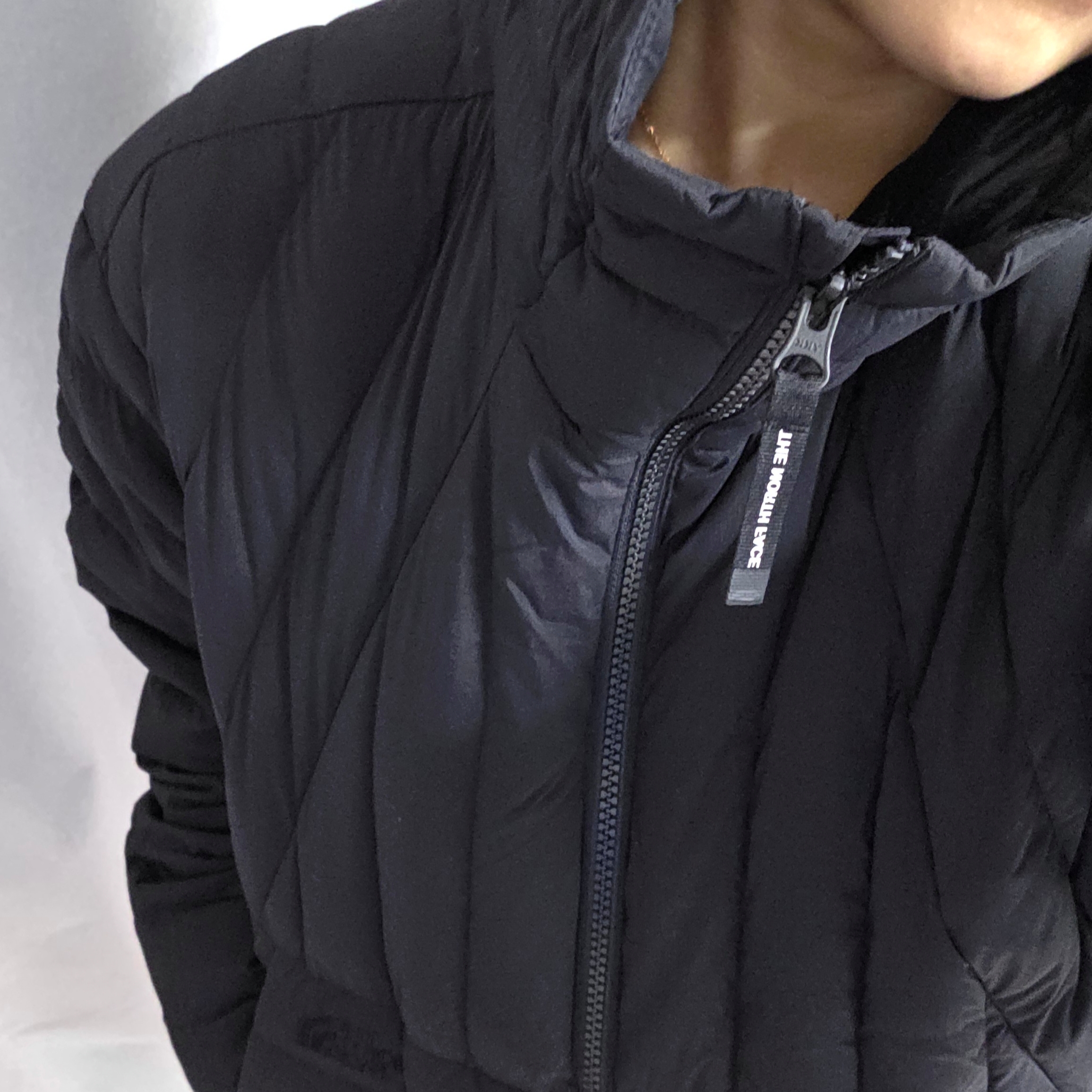 The North Face Coreline Down Jacket Black - 25FW 착용 스타일