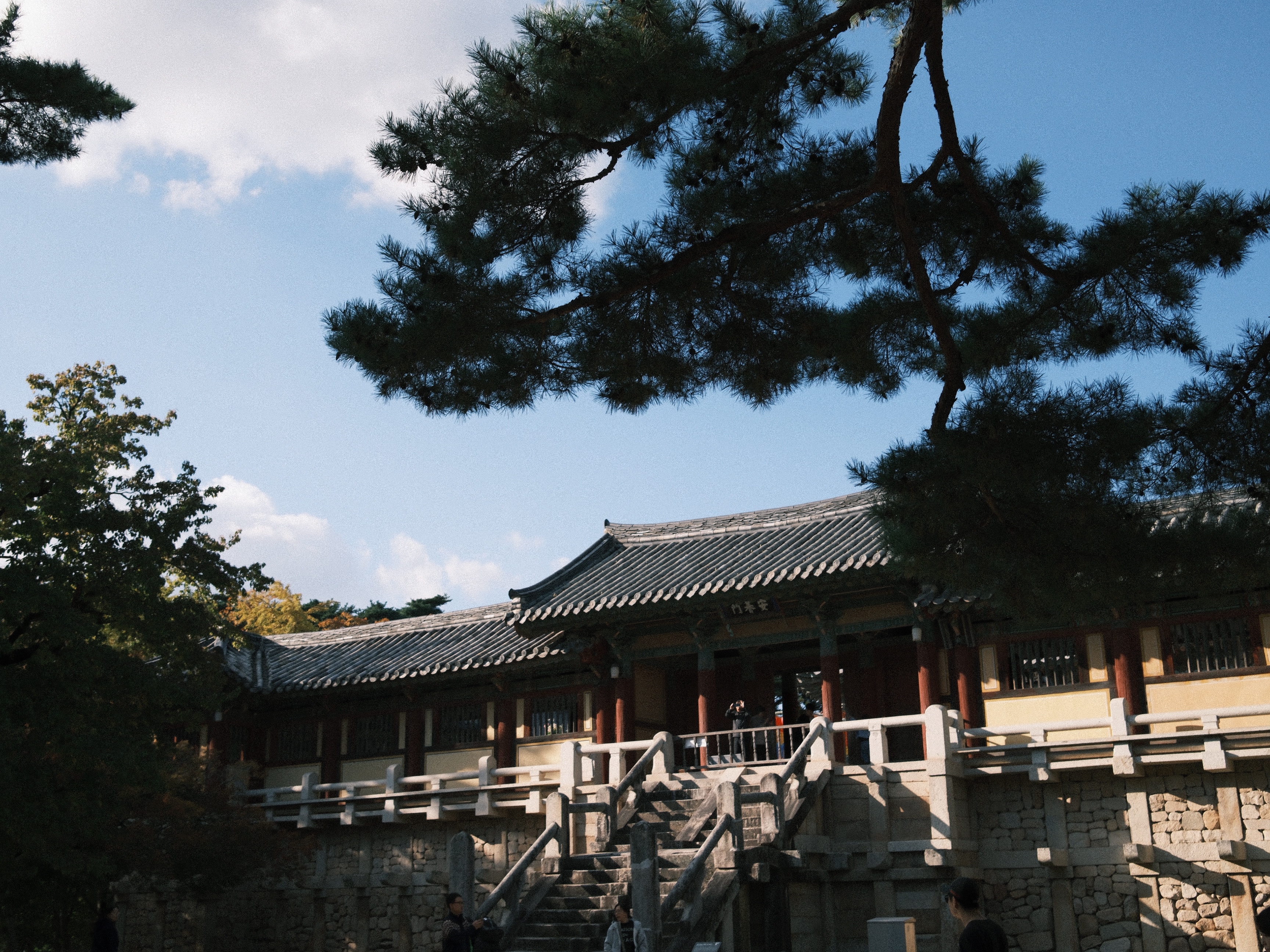 너구리님의 스타일