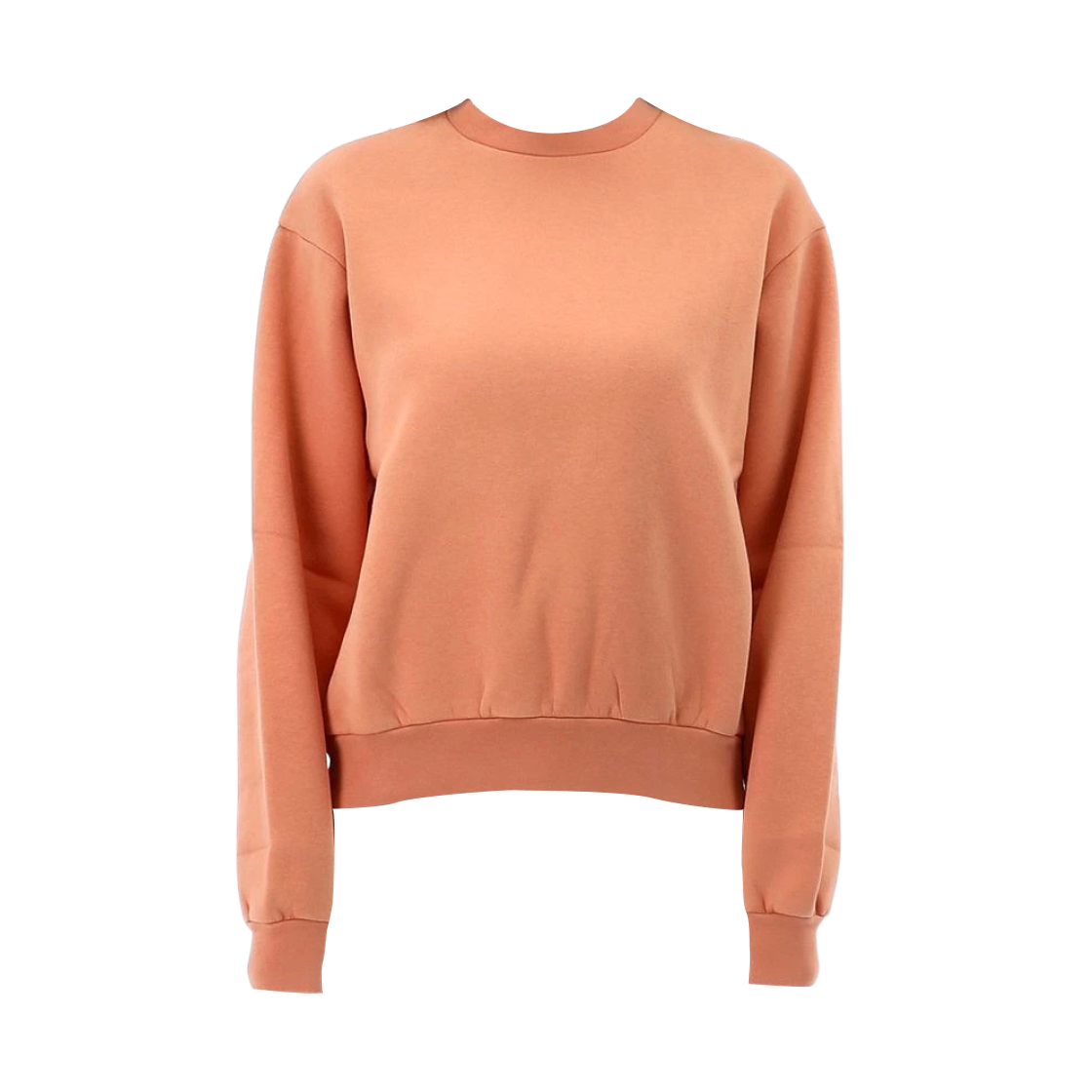 (W) 아크네 스튜디오 핑크 라벨 스웨트셔츠 살몬 핑크((W) Acne Studios Pink Label Sweatshirt Salmon Pink) - 1