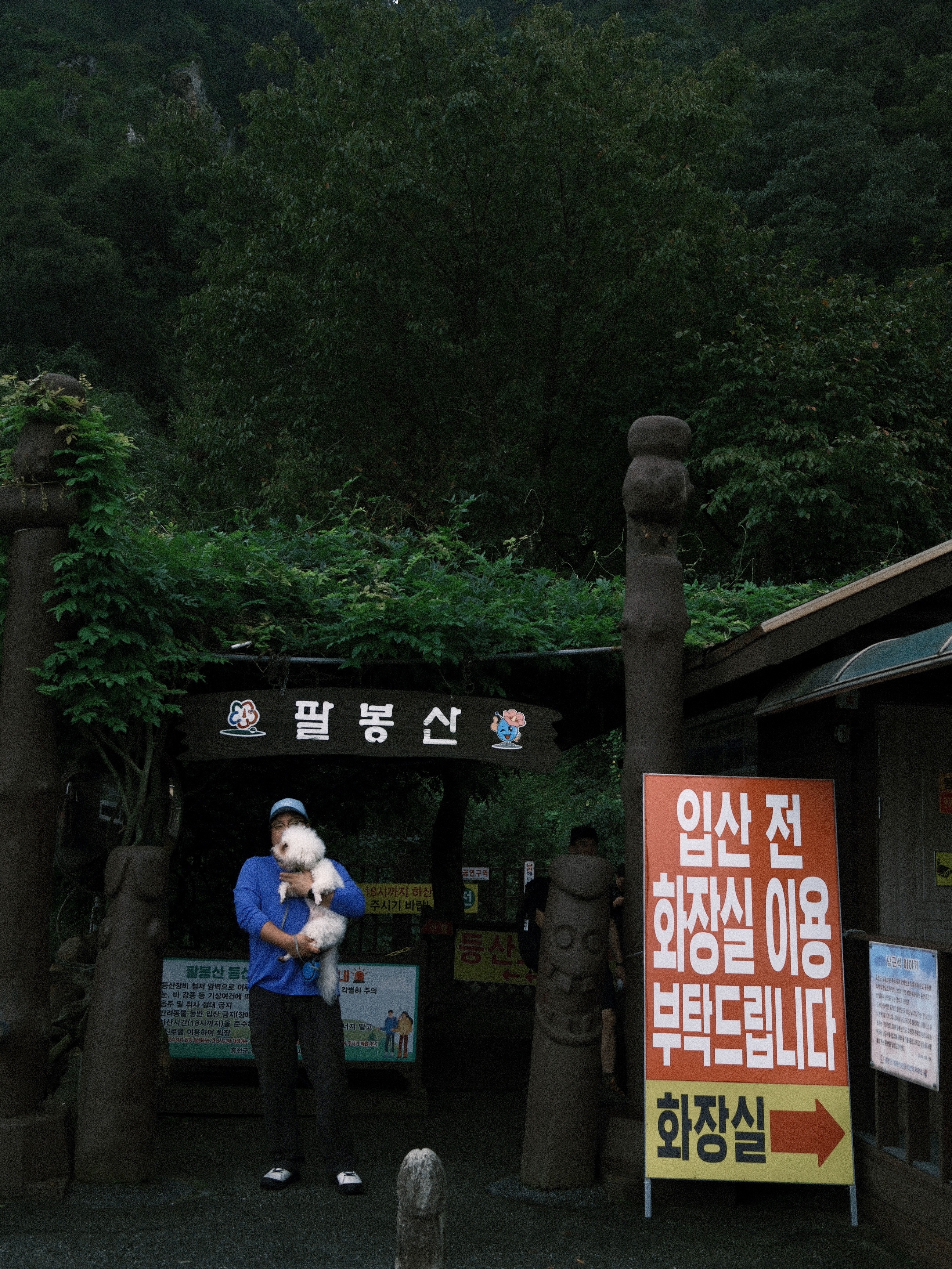 너구리님의 스타일