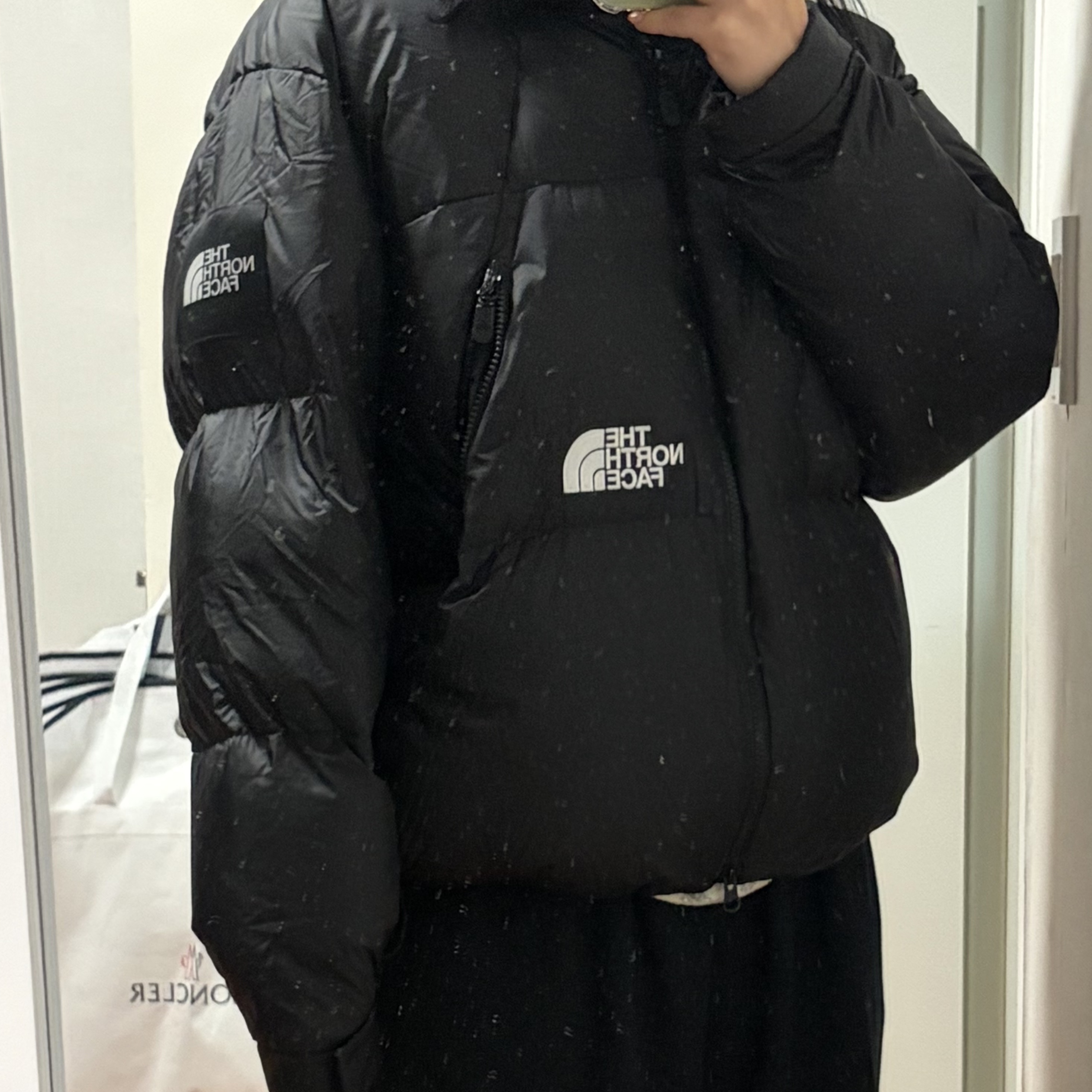 The North Face White Label Project Down Jacket RDS Black - 25FW 착용 스타일