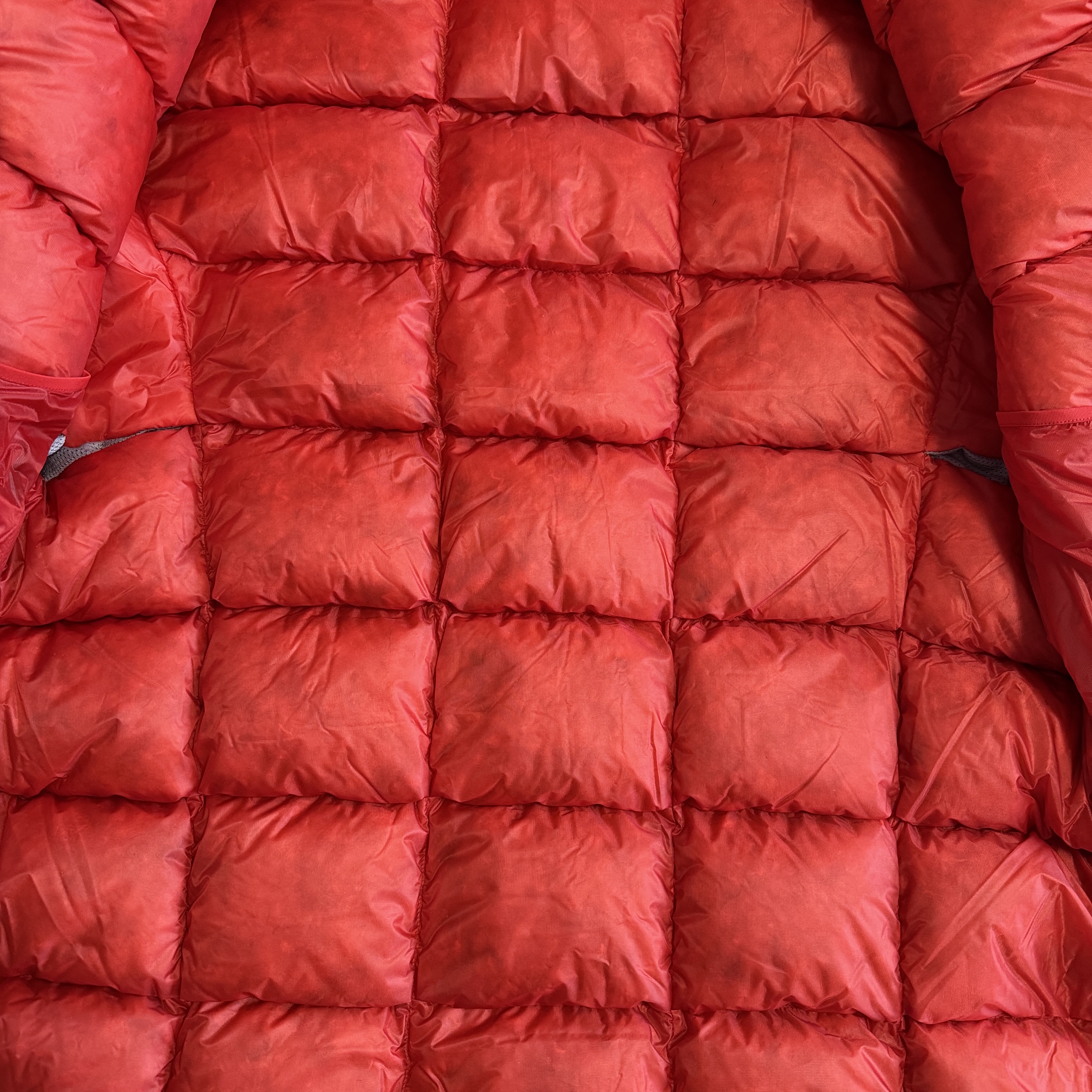 Arc'teryx Alpha Lightweight Parka Light Tanager 착용 스타일 - 3