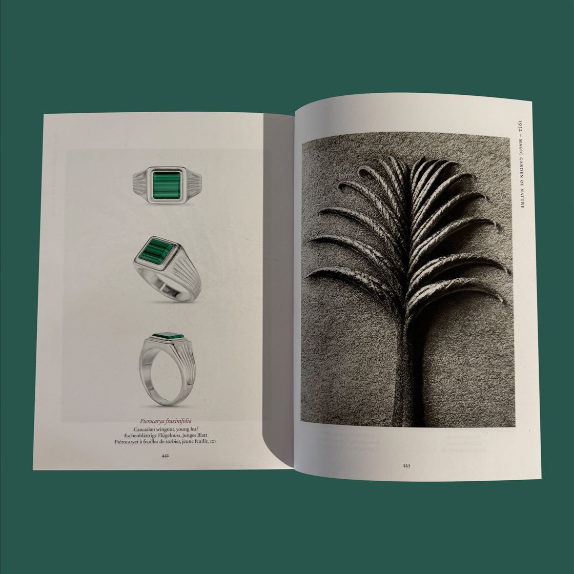 뵤르 윙넛 링_L (말라카이트)(Bőr Wingnut Ring_L (malachite)) - 5