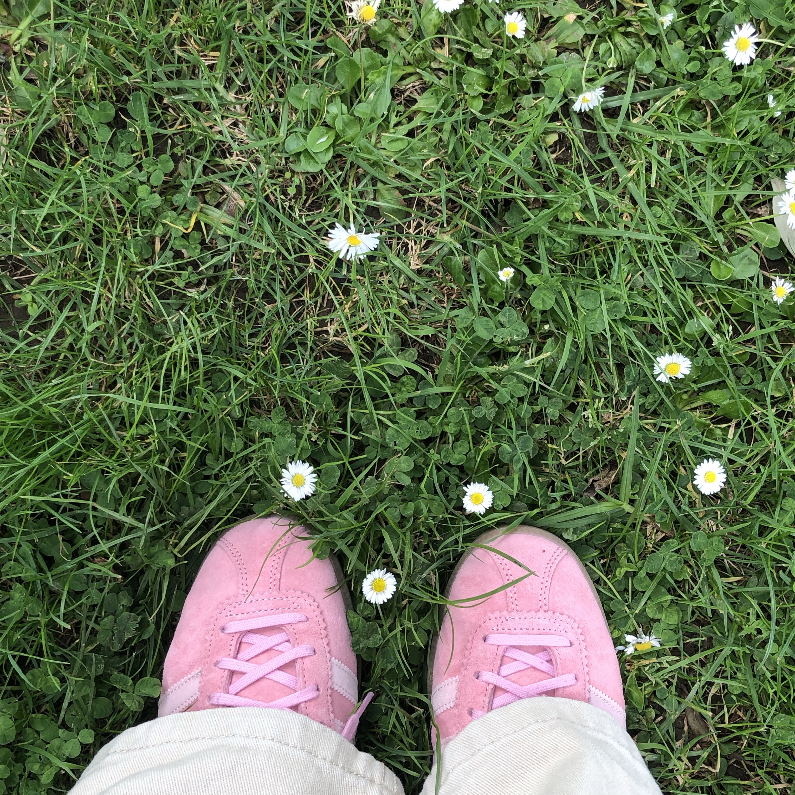 Adidas Bermuda Glow Pink 착용 스타일