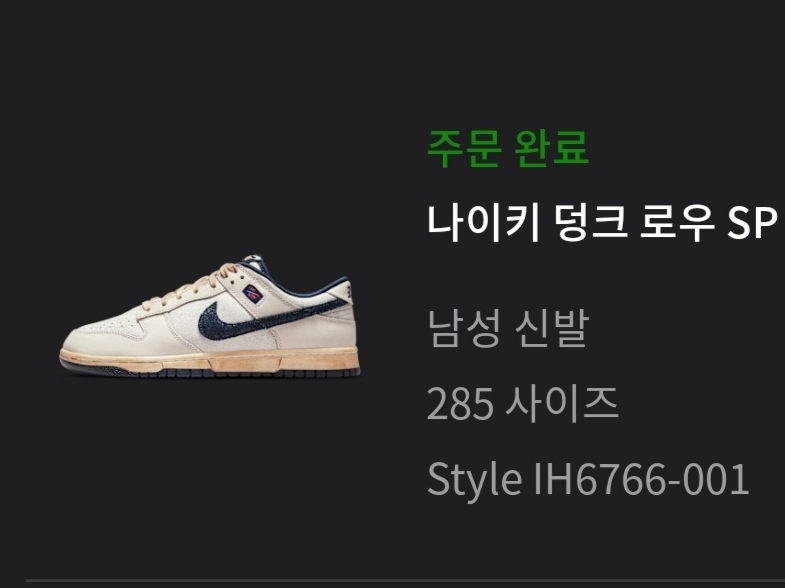 Nike x Stranger Things Dunk Low Phantom and Midnight Navy 착용 스타일 - 2