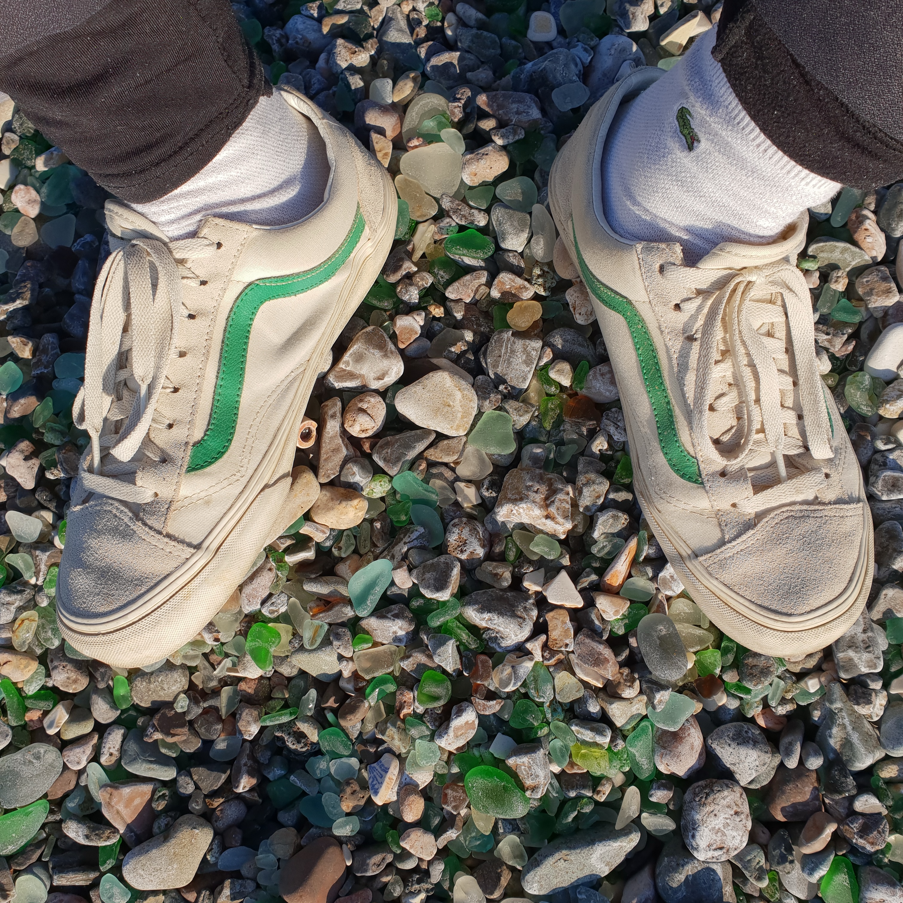 Vans Style 36 Marshmallow Jolly Green 착용 스타일