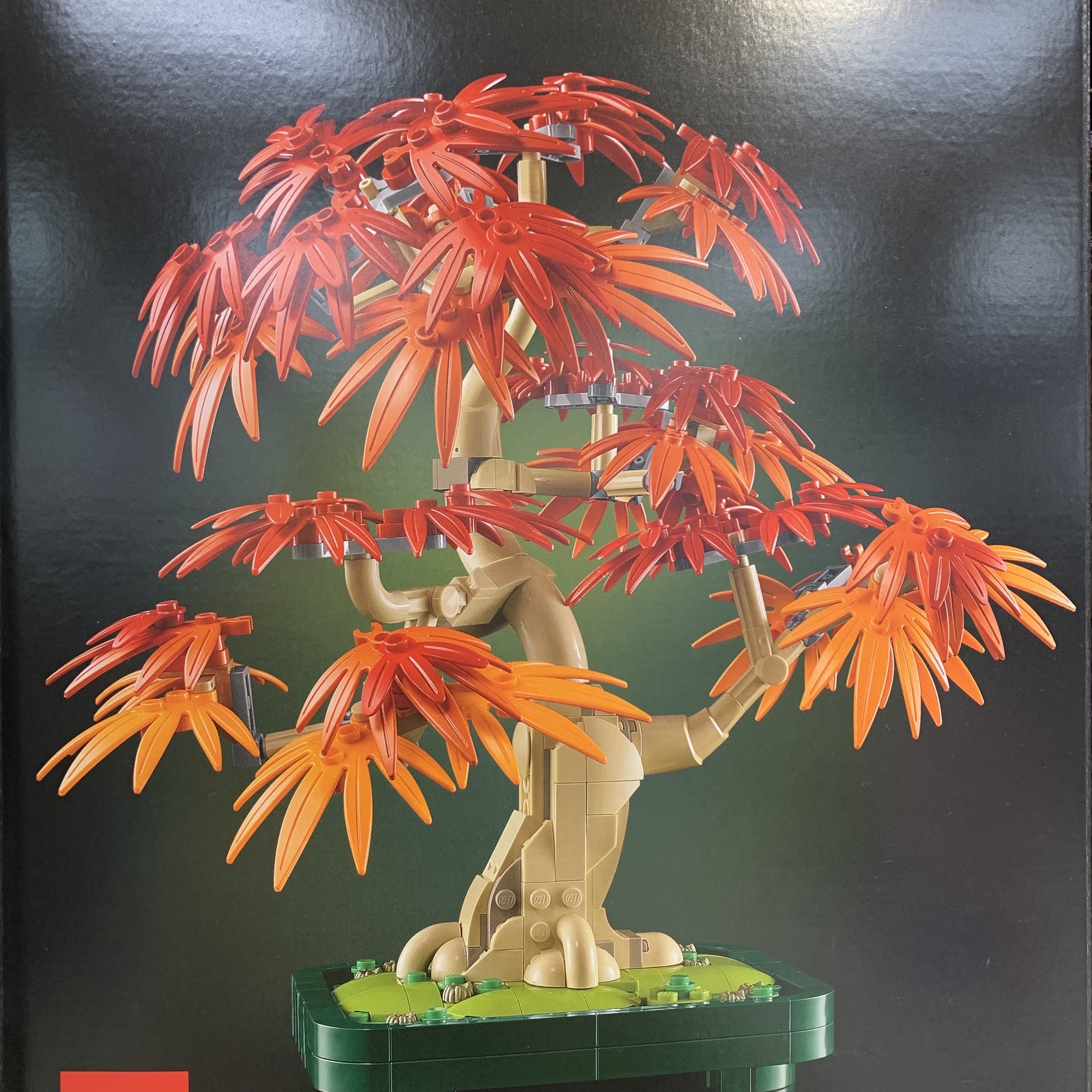 Lego The Botanical Collection Japanese Red Maple Bonsai Tree 착용 스타일